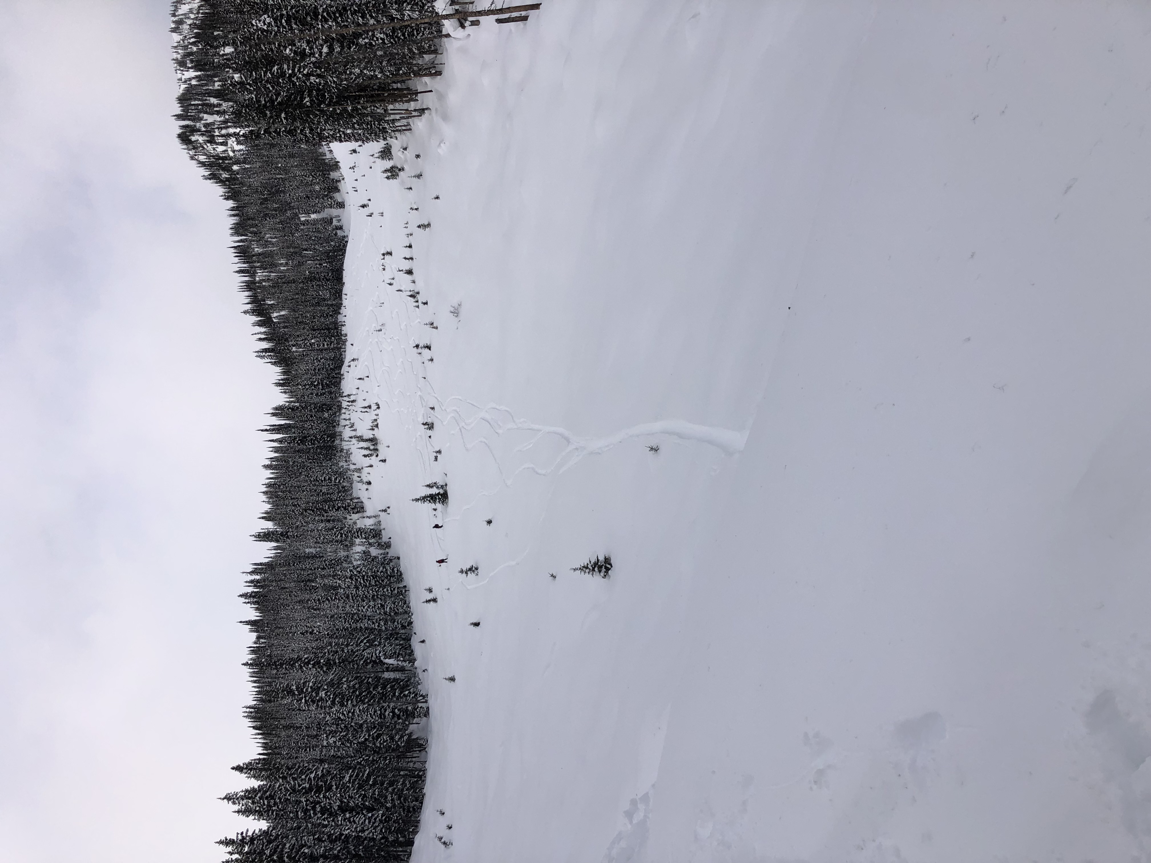 Observation photo