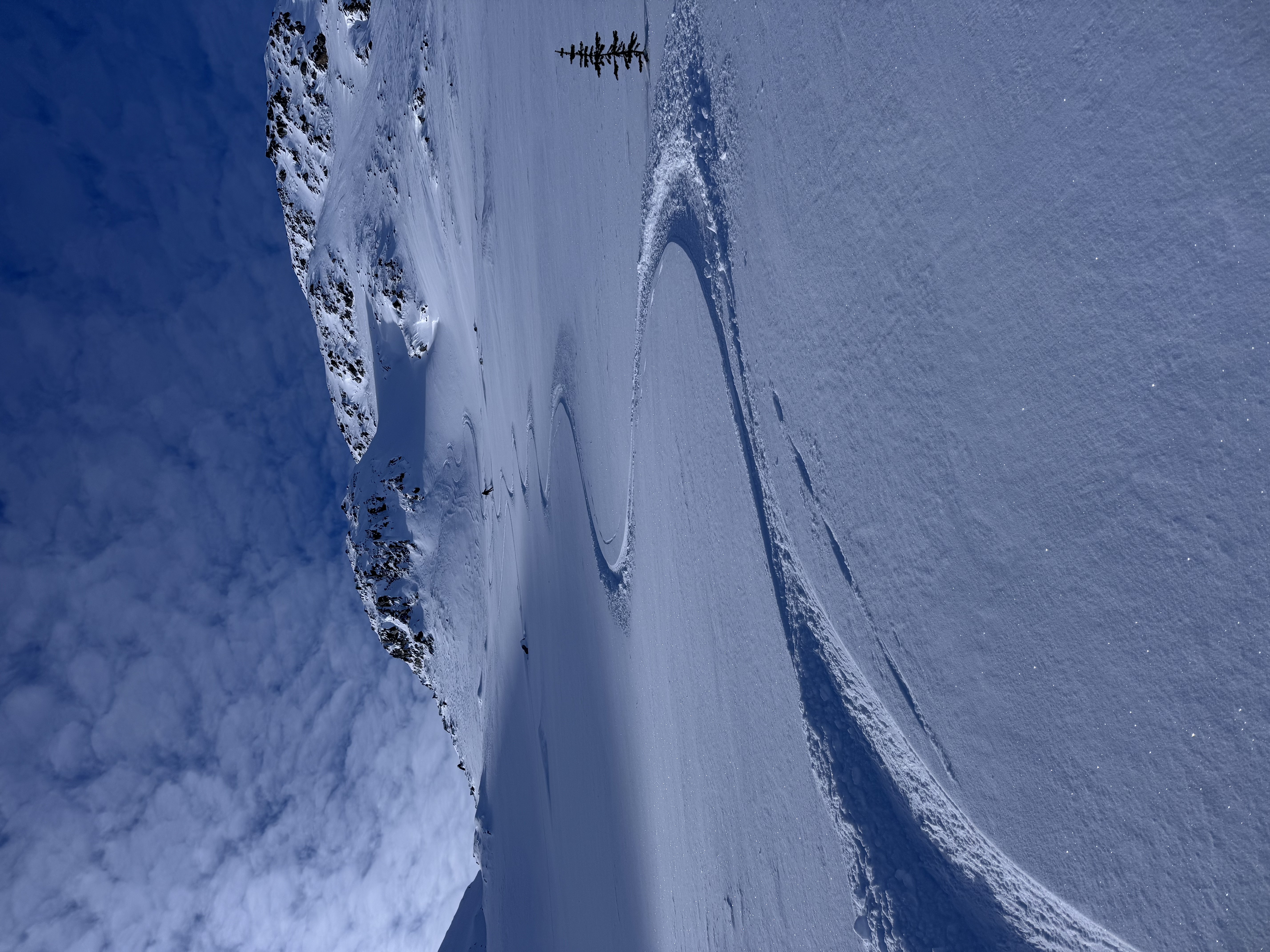 Observation photo