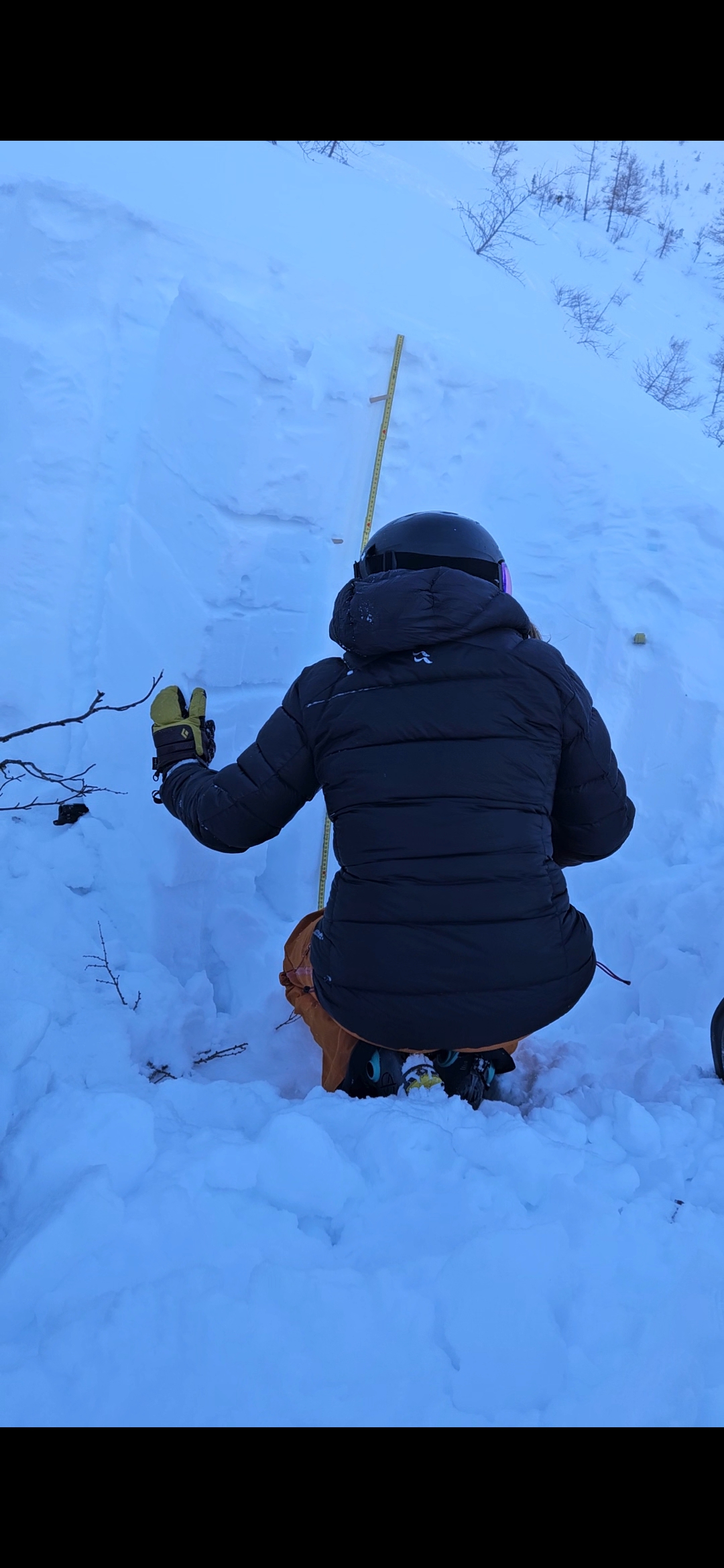 Observation photo
