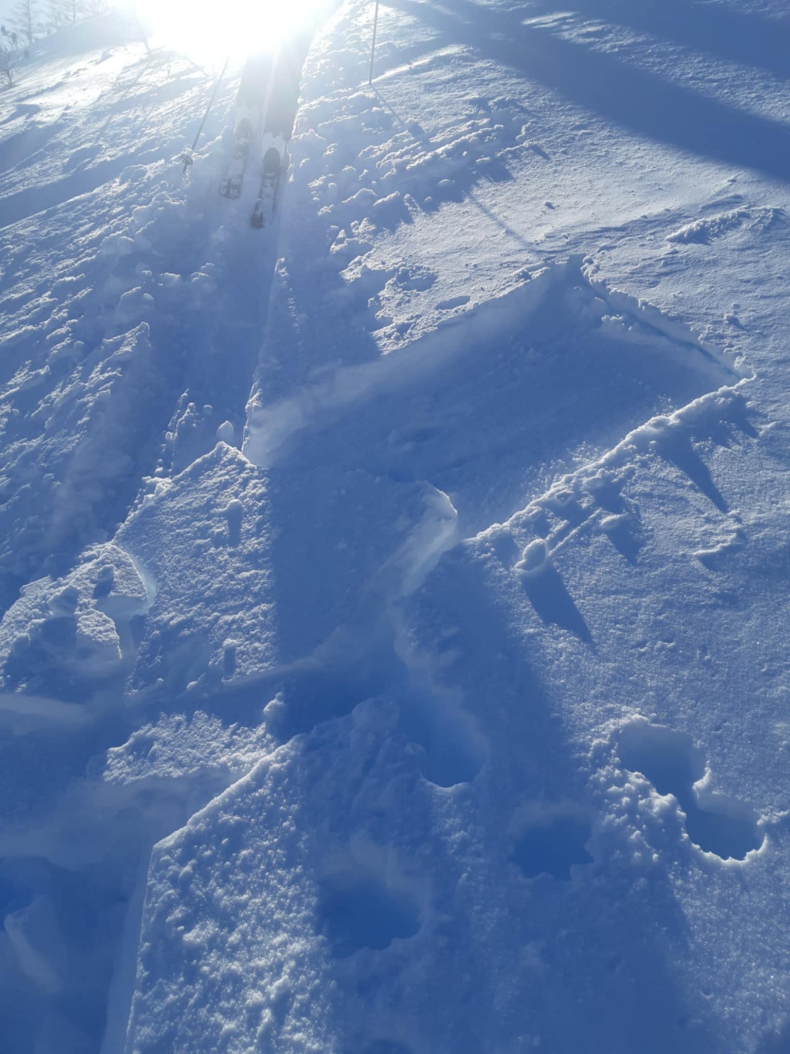 Observation photo