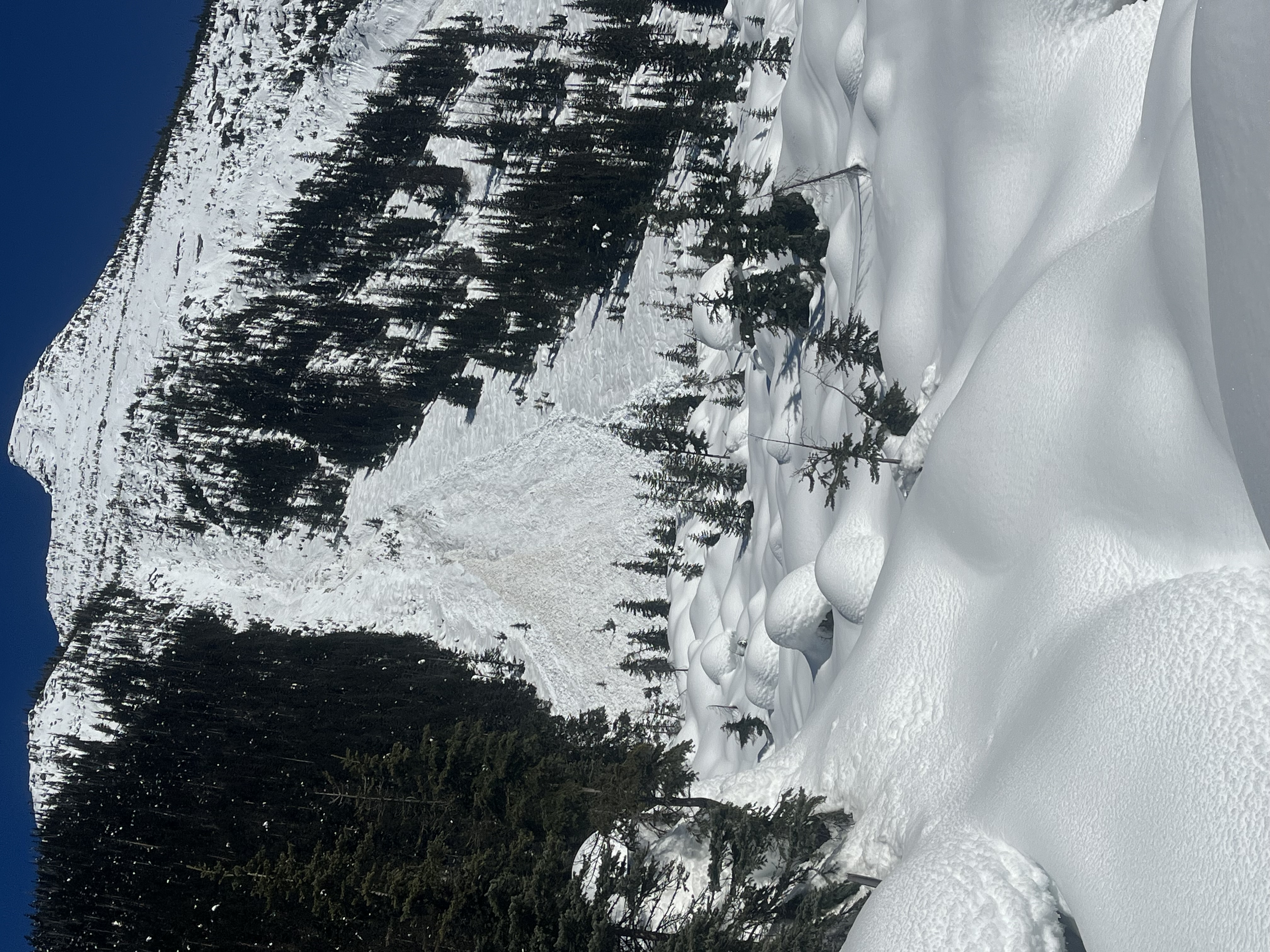 Observation photo