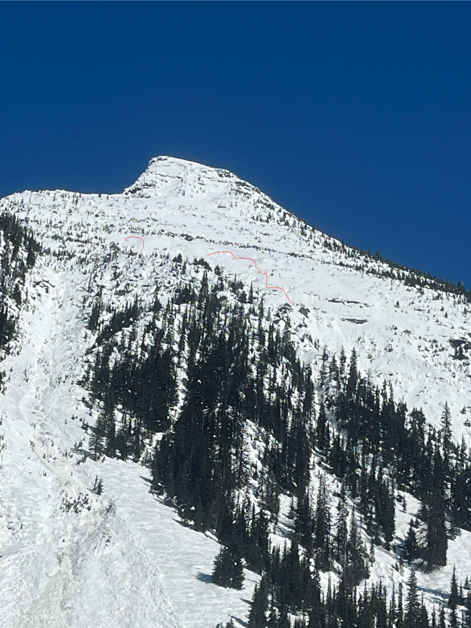 Observation photo