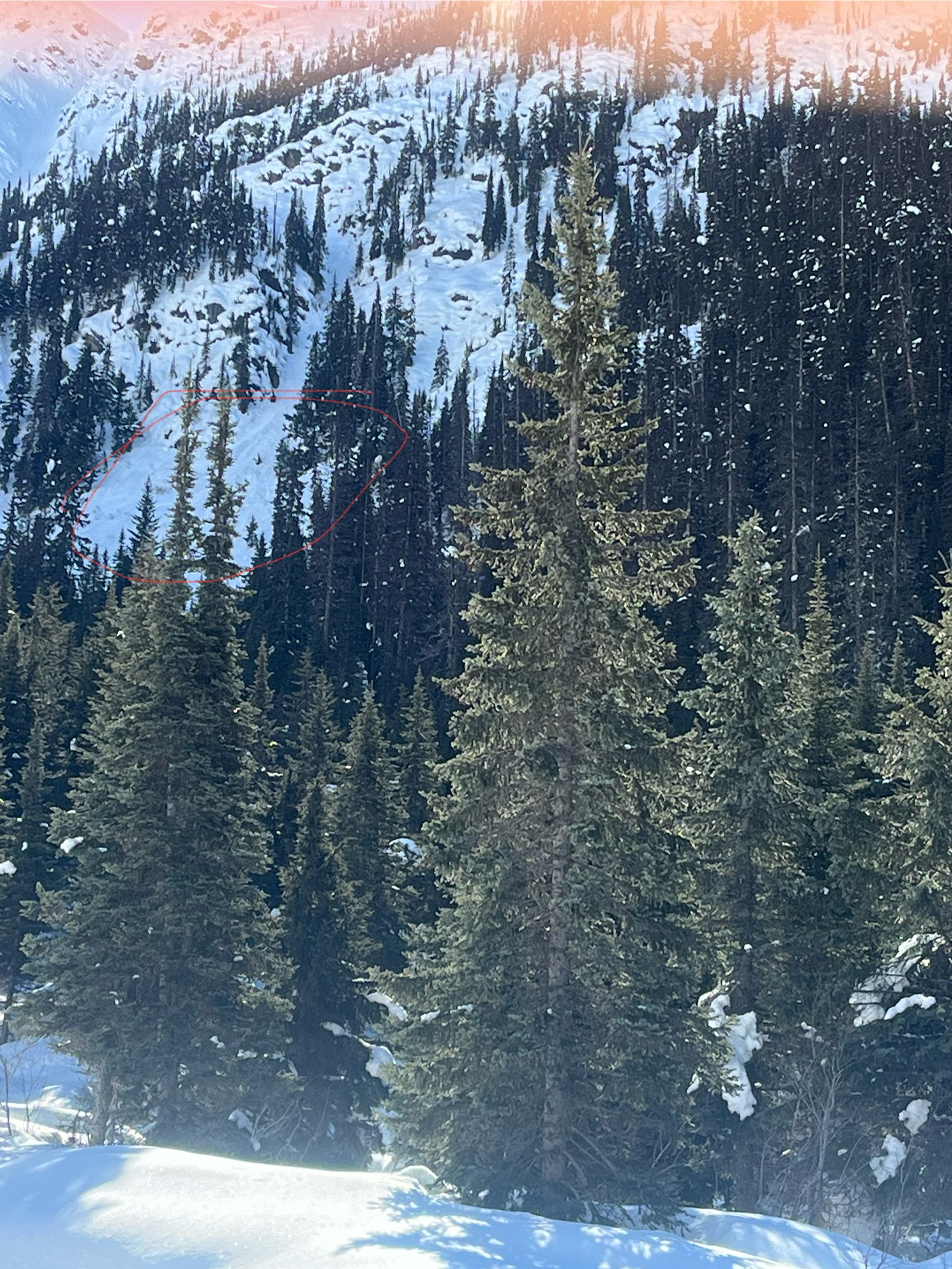 Observation photo