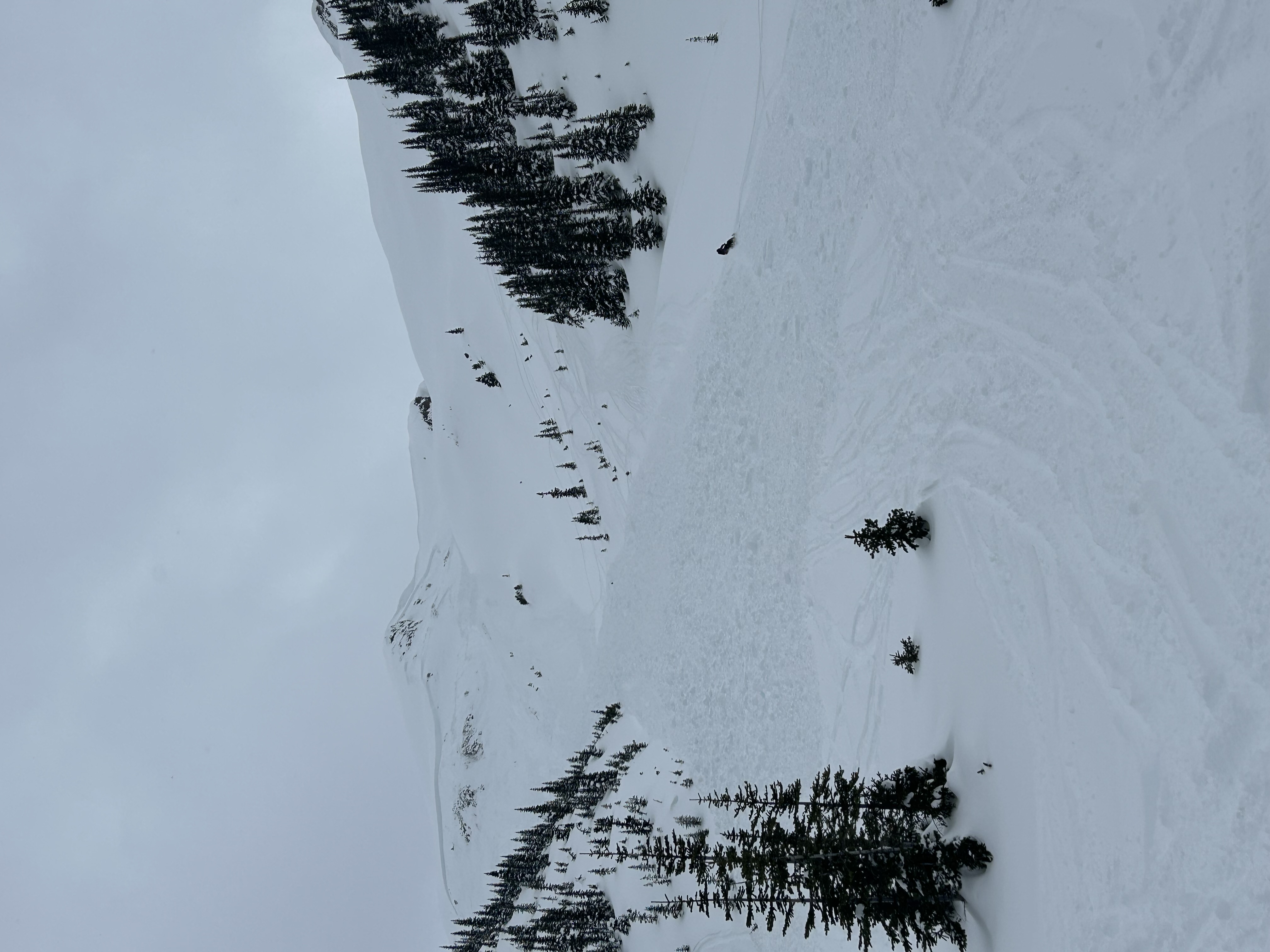 Observation photo 1