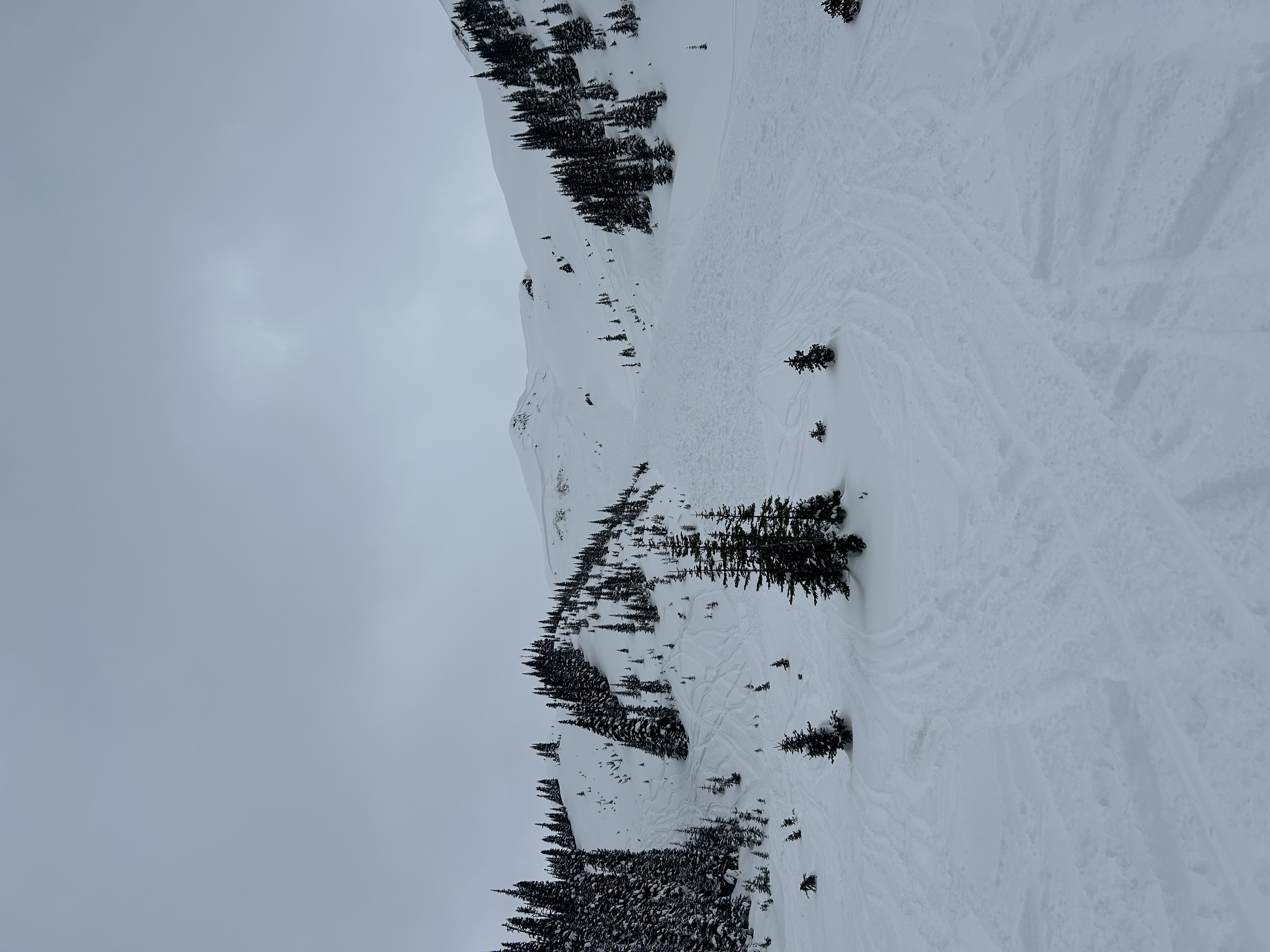 Observation photo 3