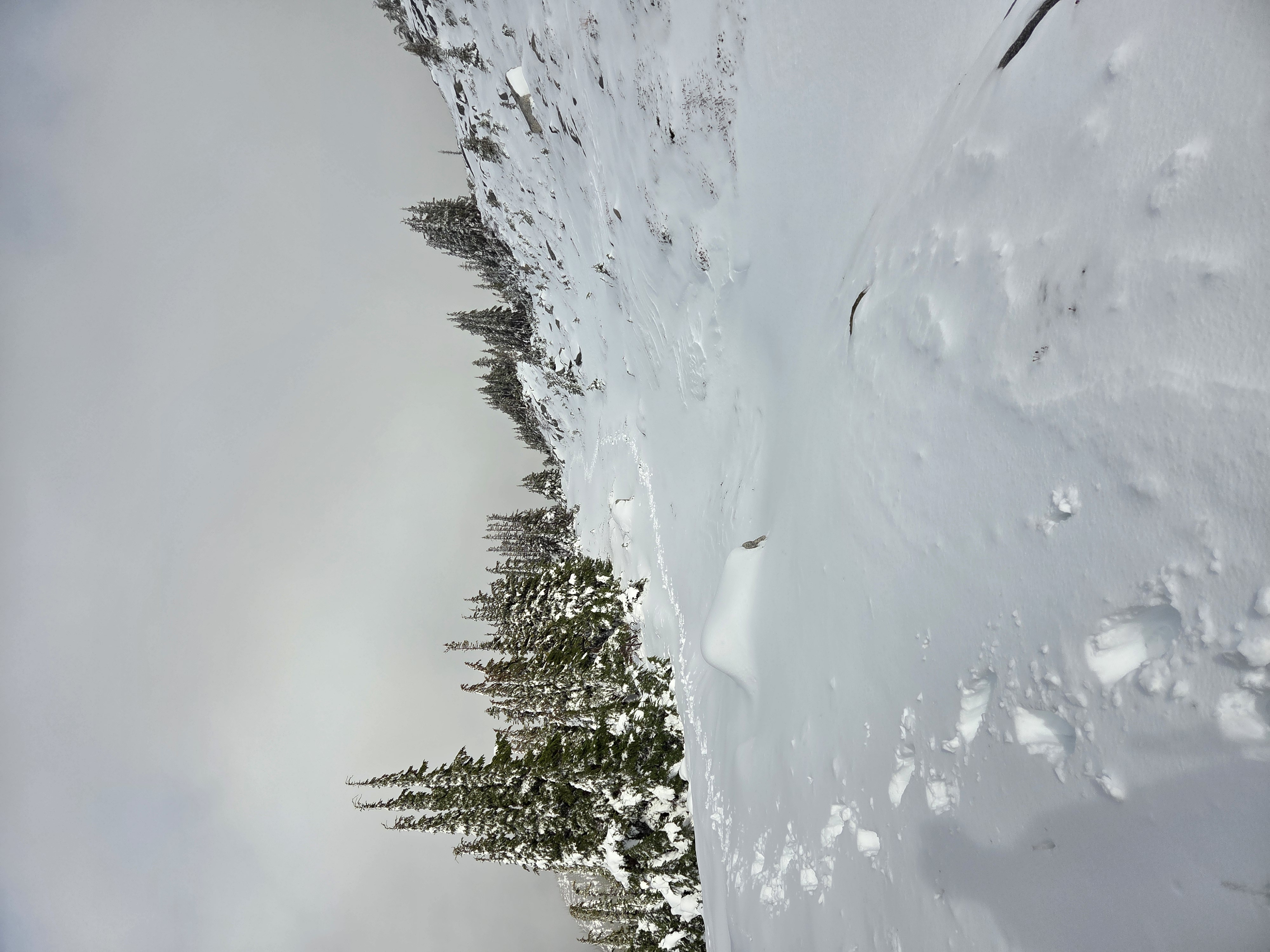Observation photo