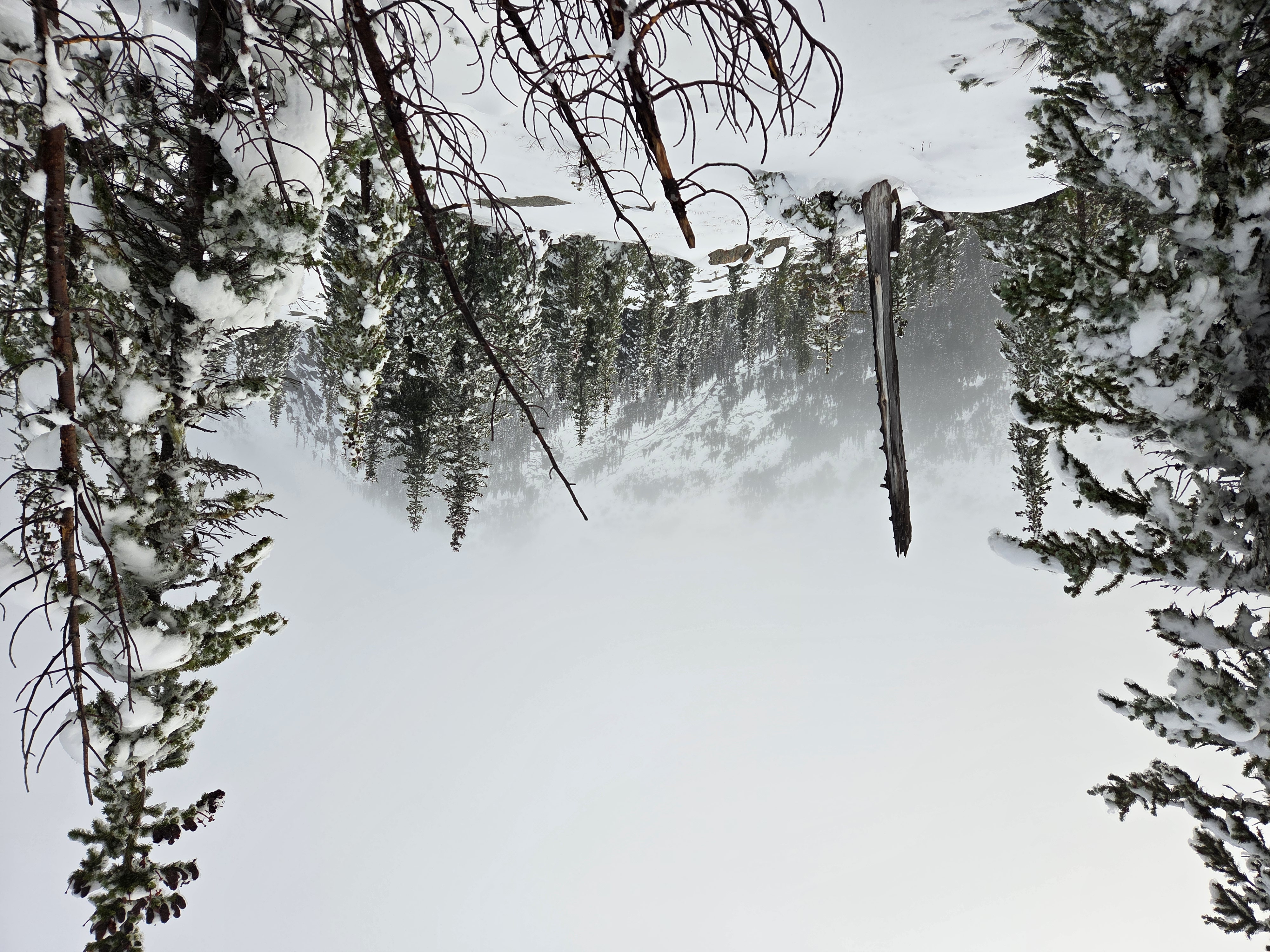 Observation photo