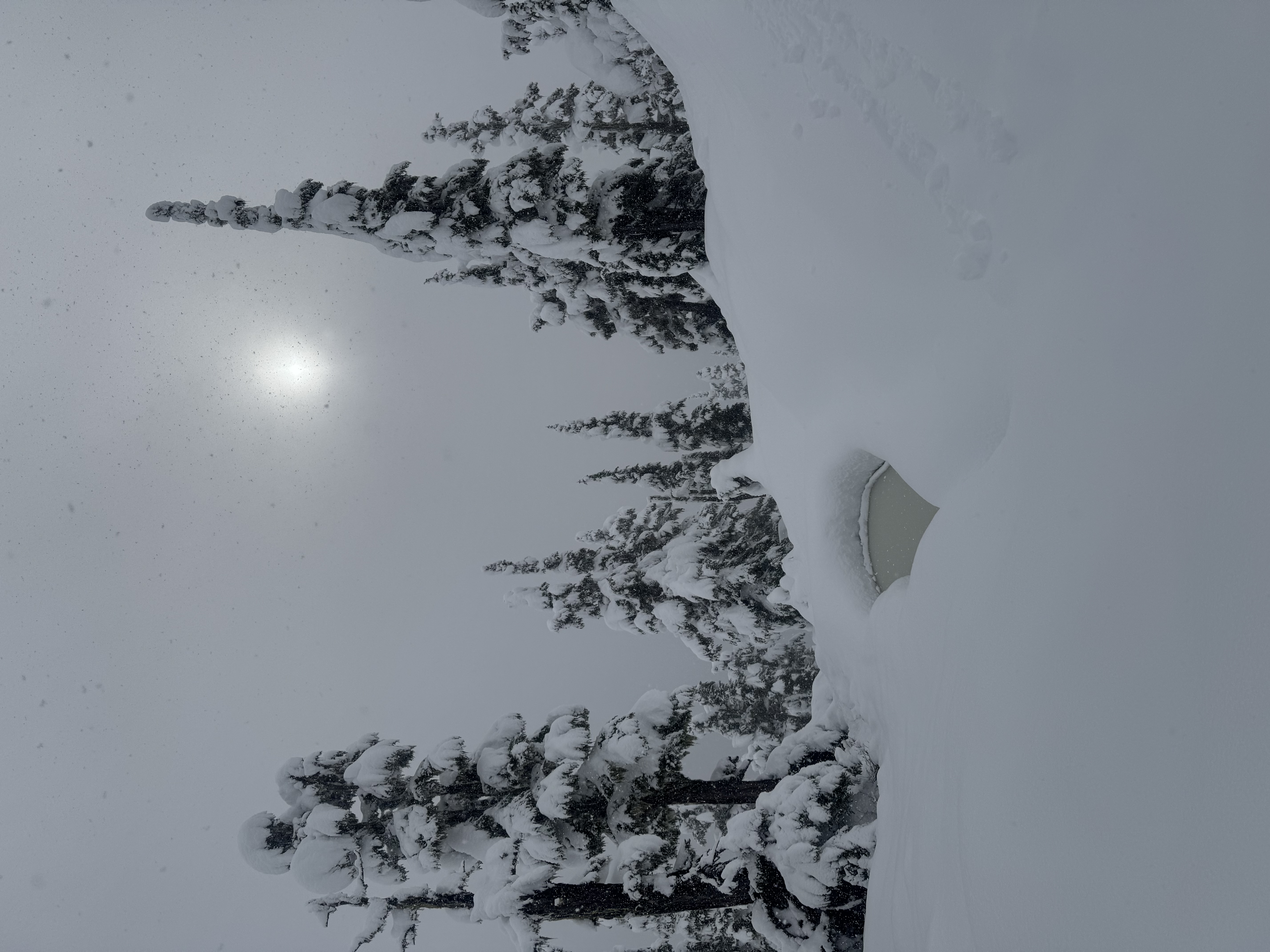 Observation photo