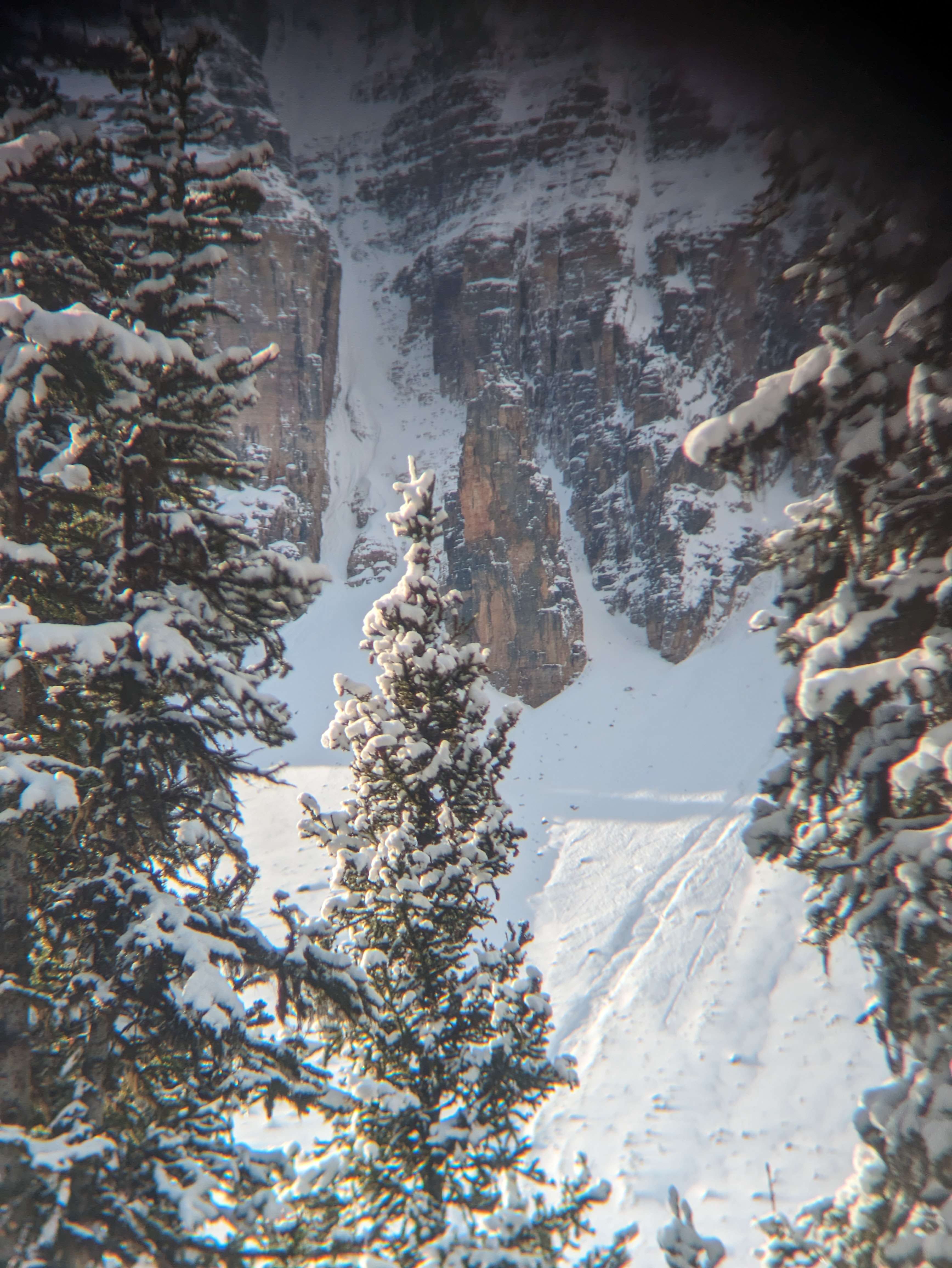Observation photo