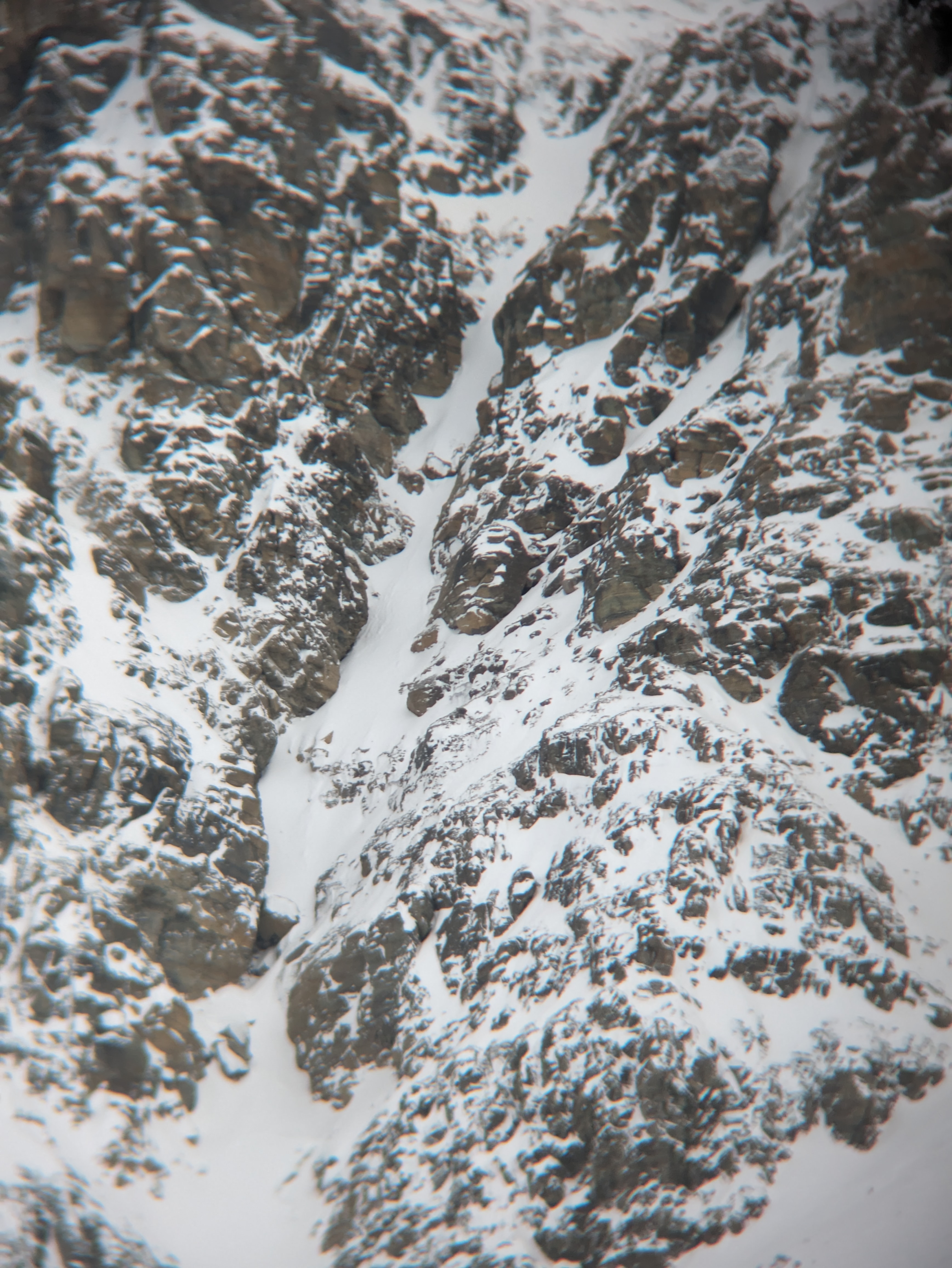 Observation photo
