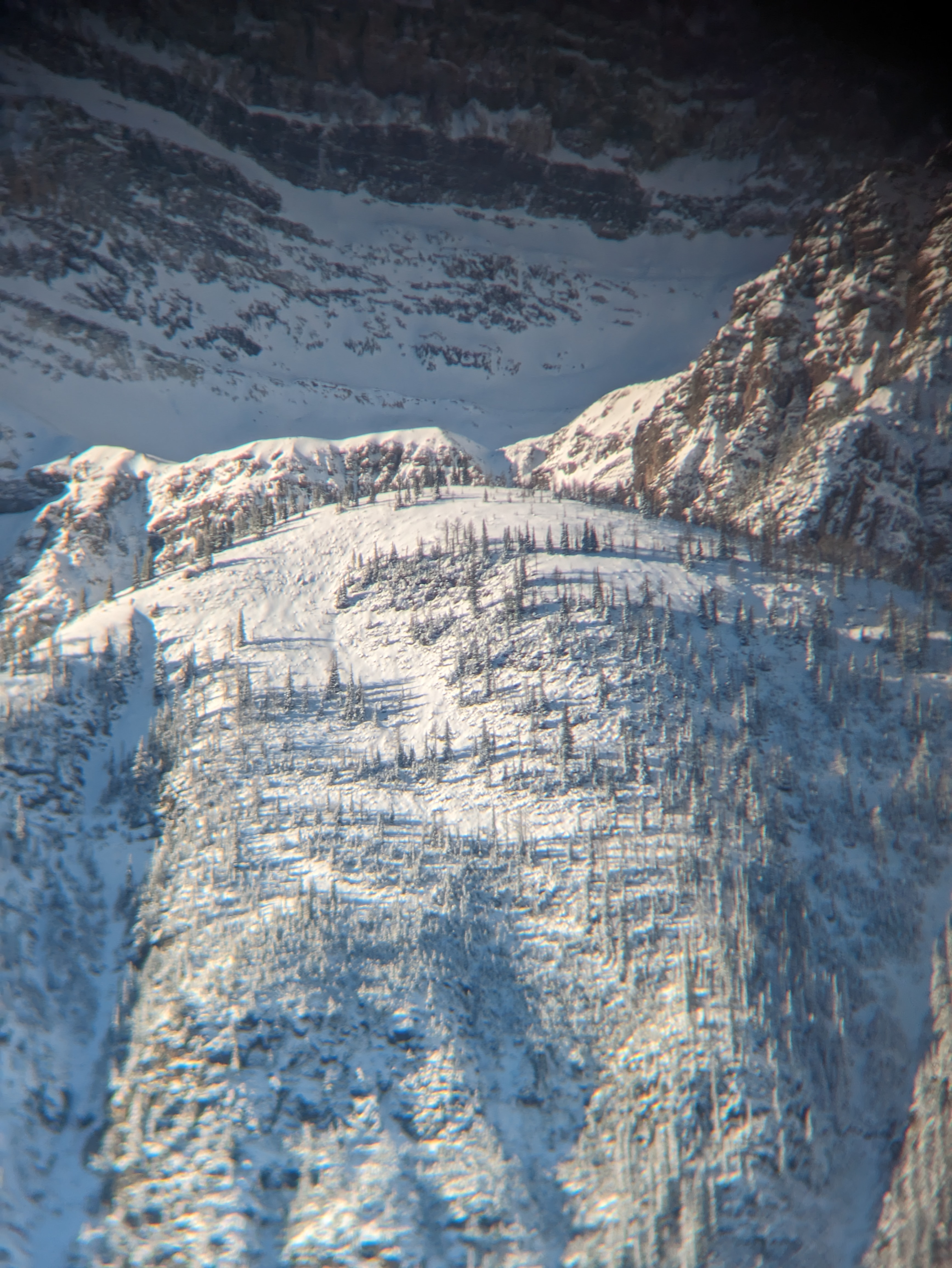 Observation photo