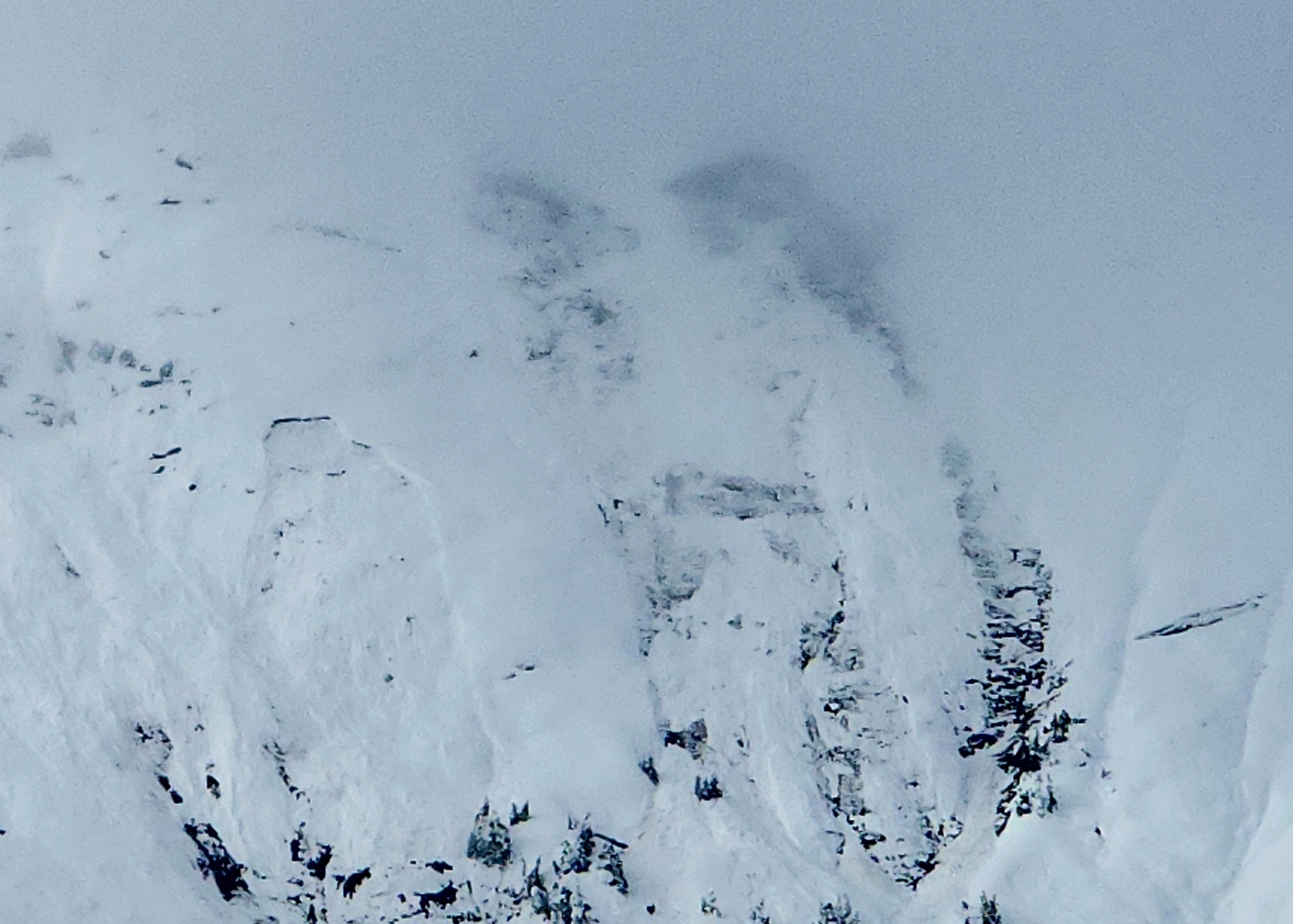 Observation photo