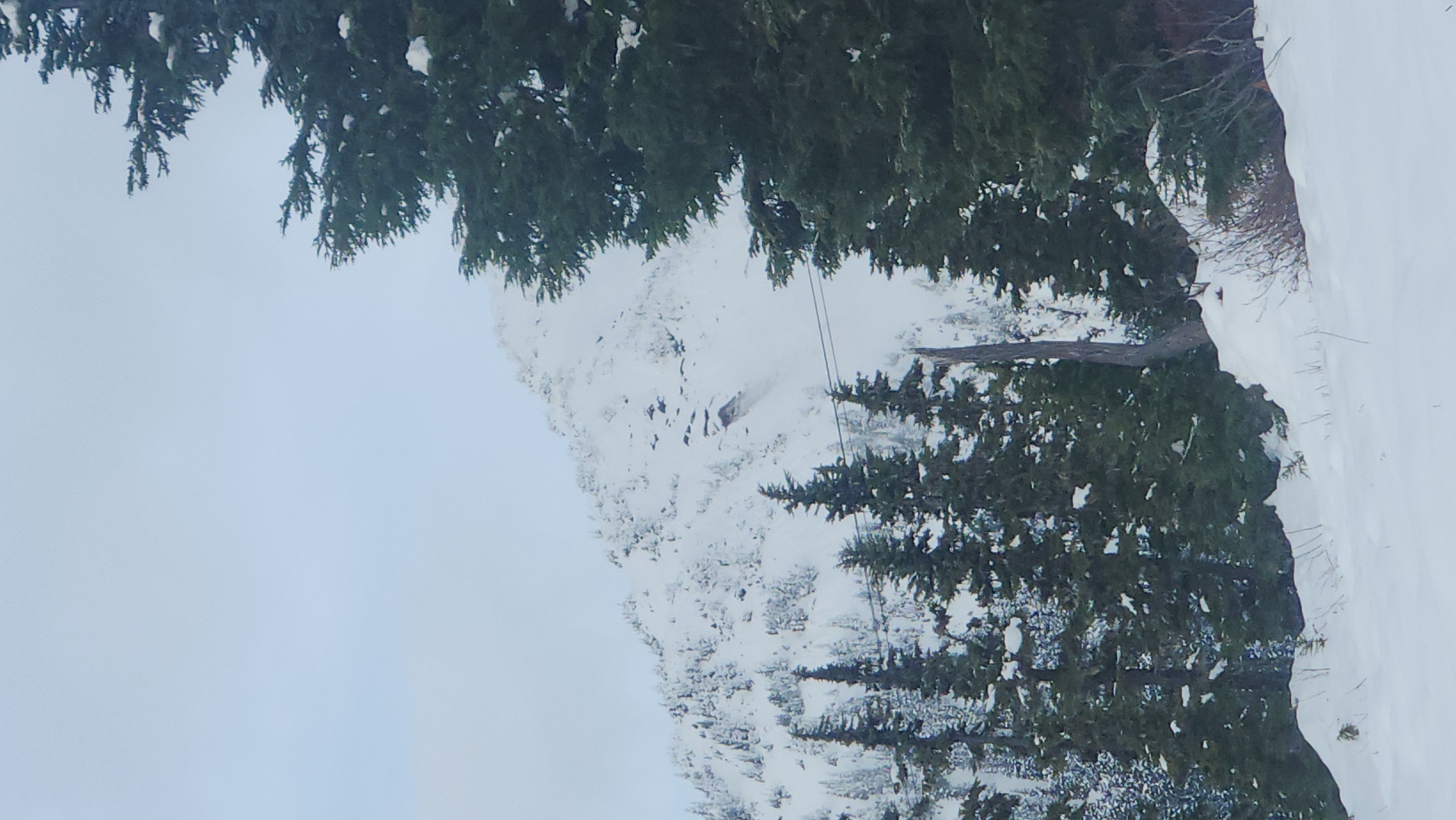 Observation photo