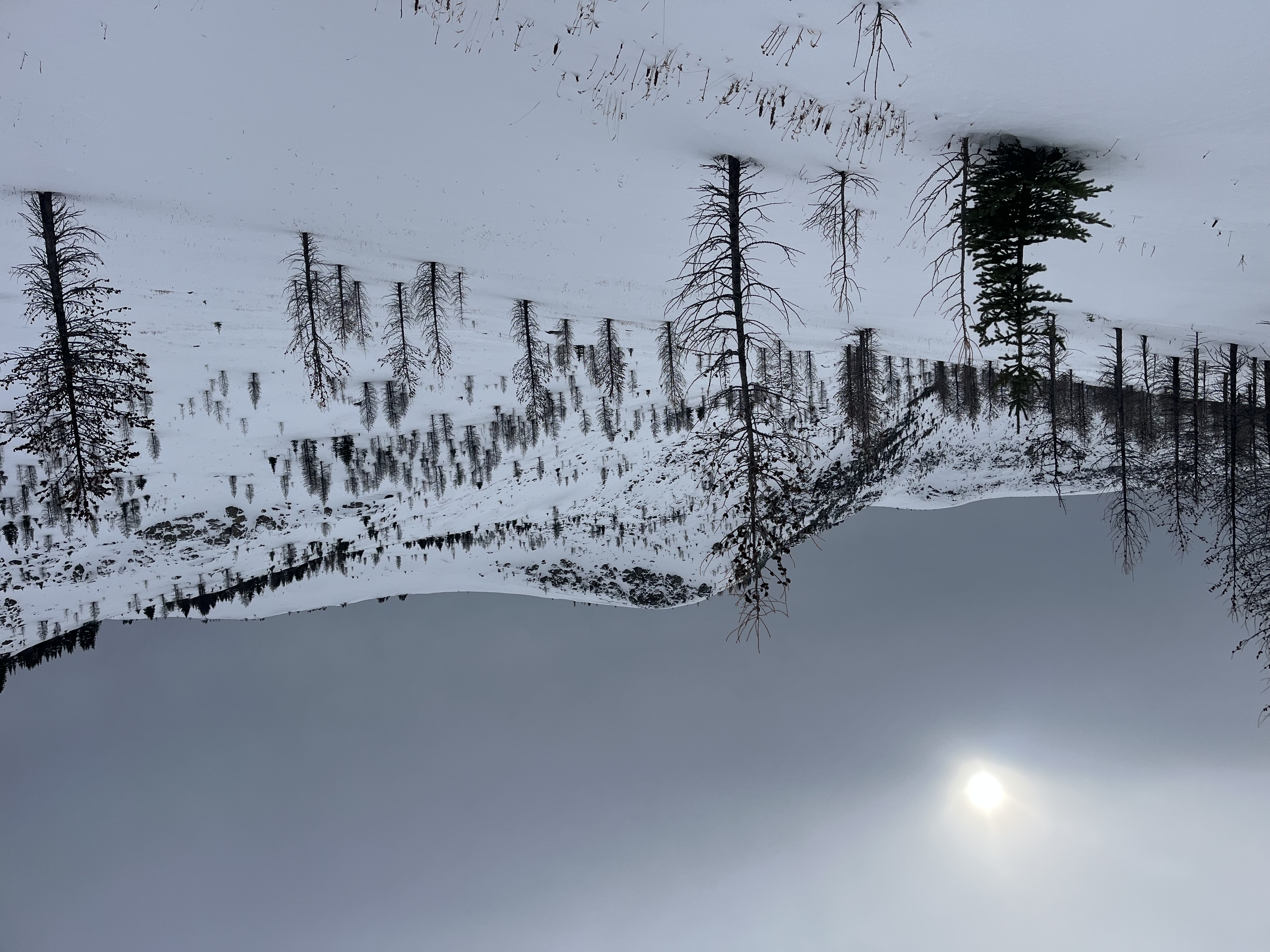 Observation photo
