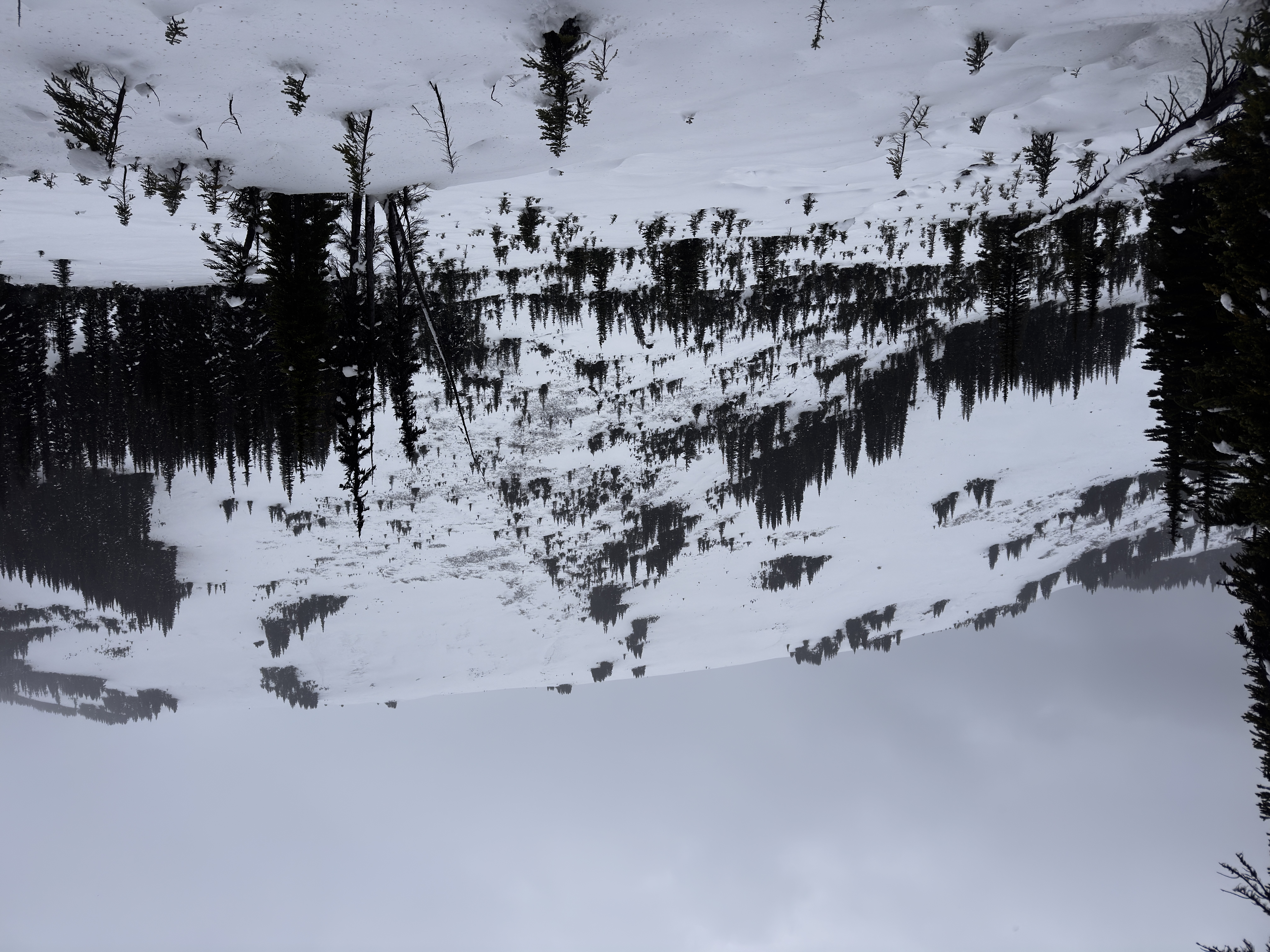 Observation photo