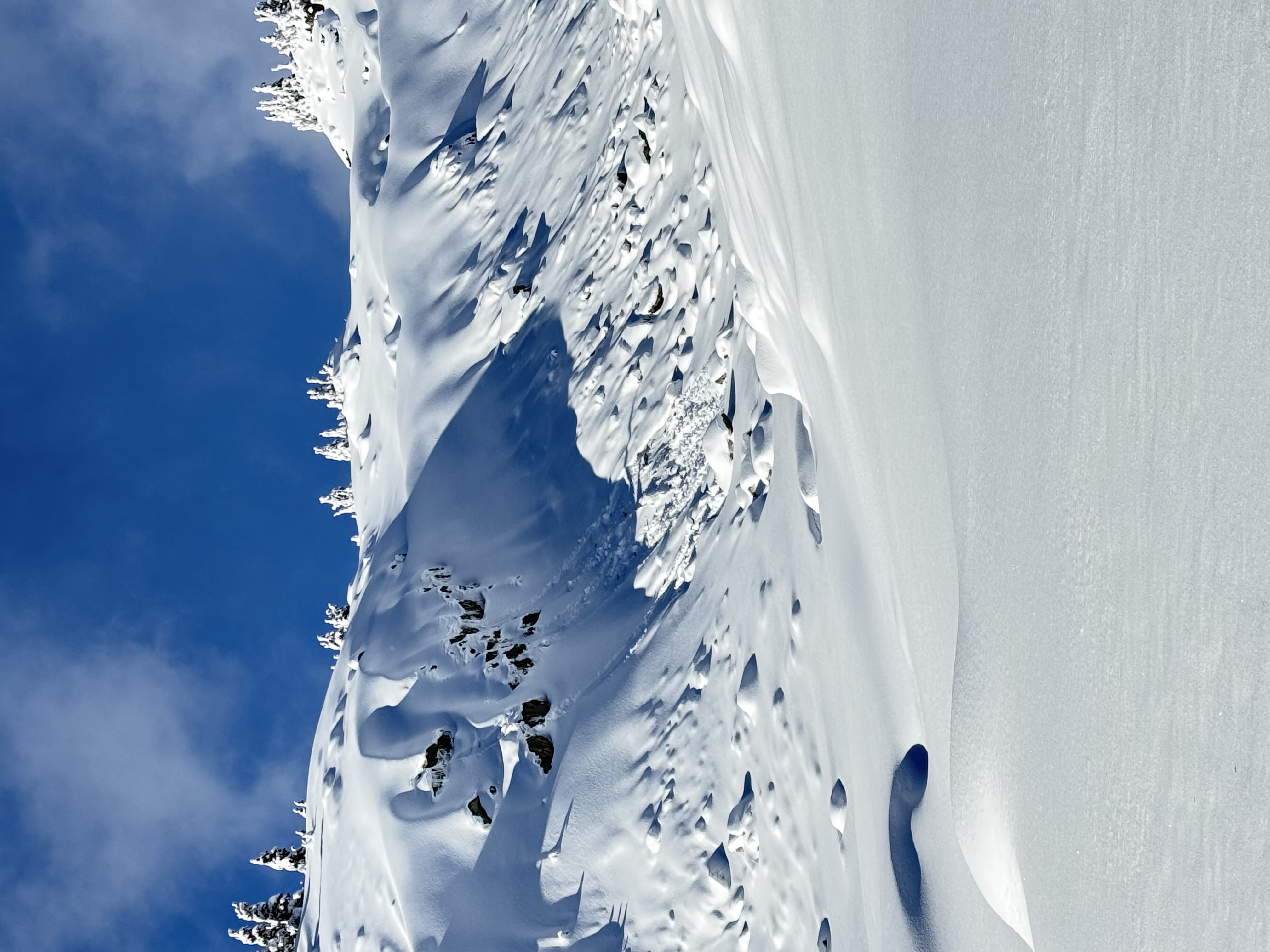 Observation photo