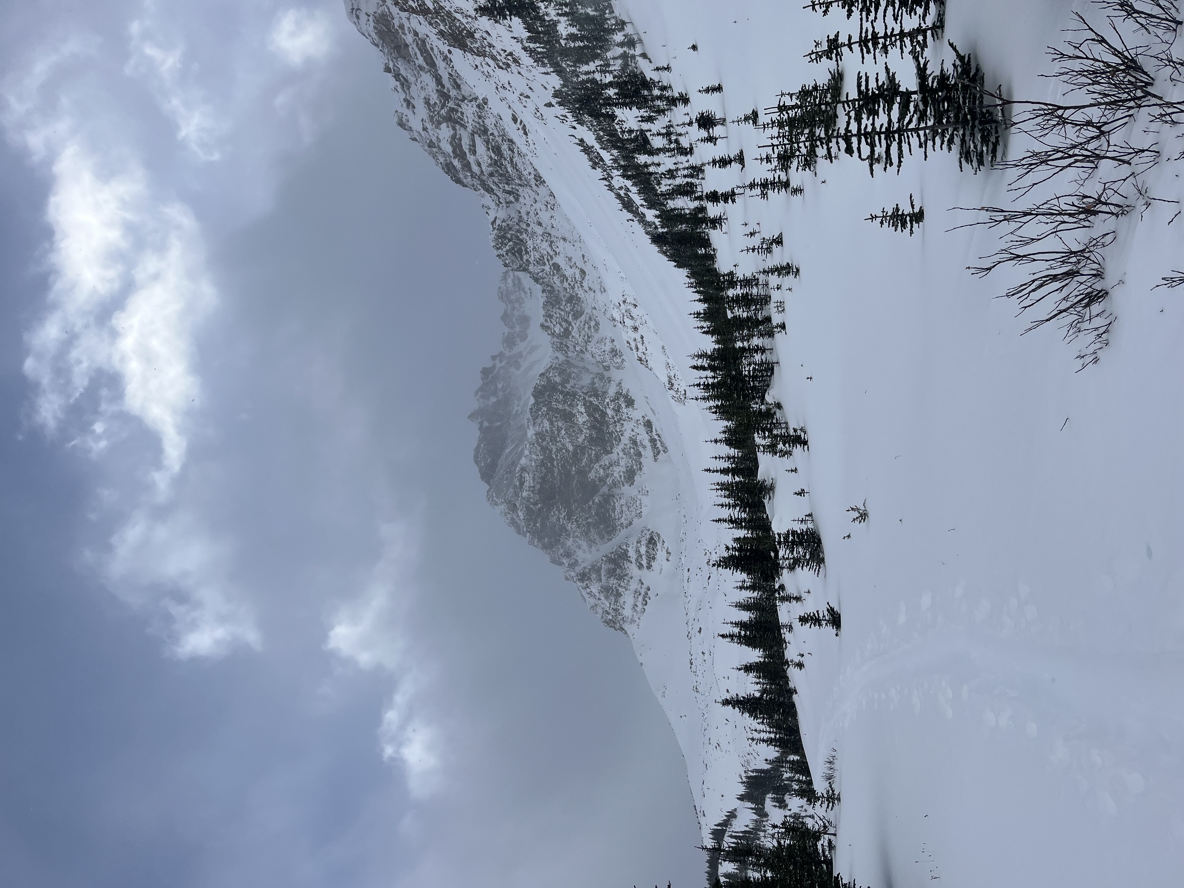 Observation photo