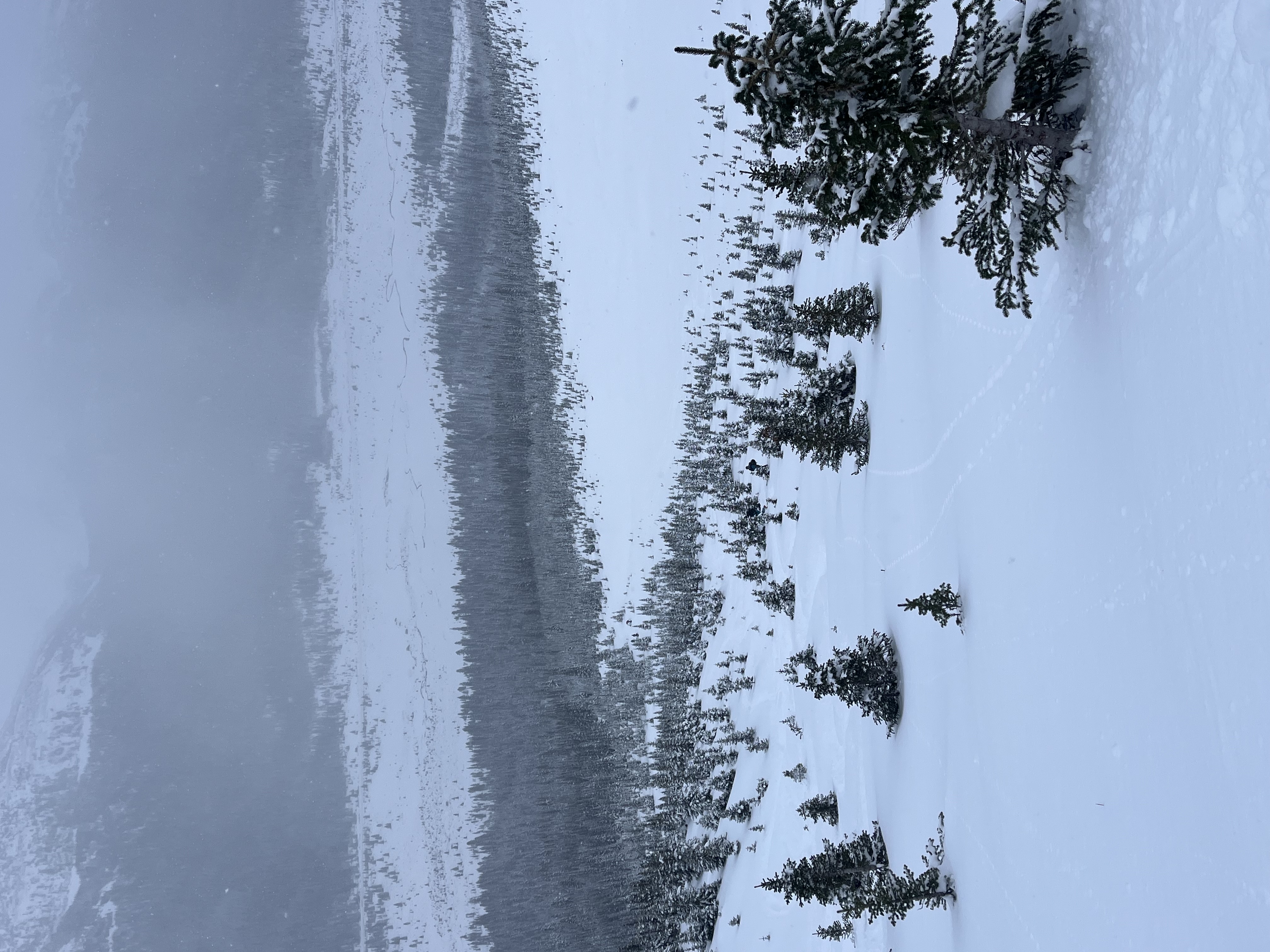 Observation photo