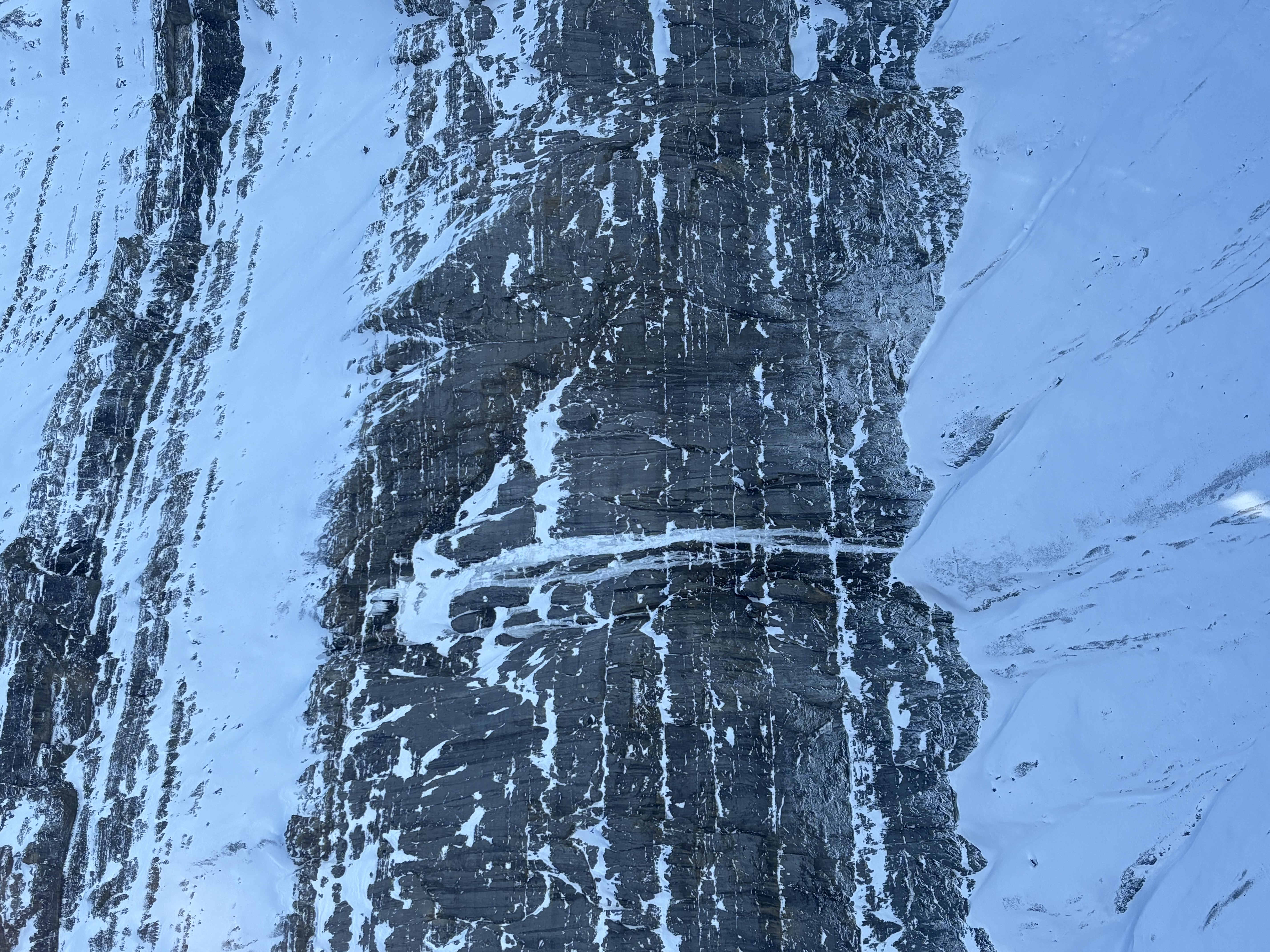 Observation photo