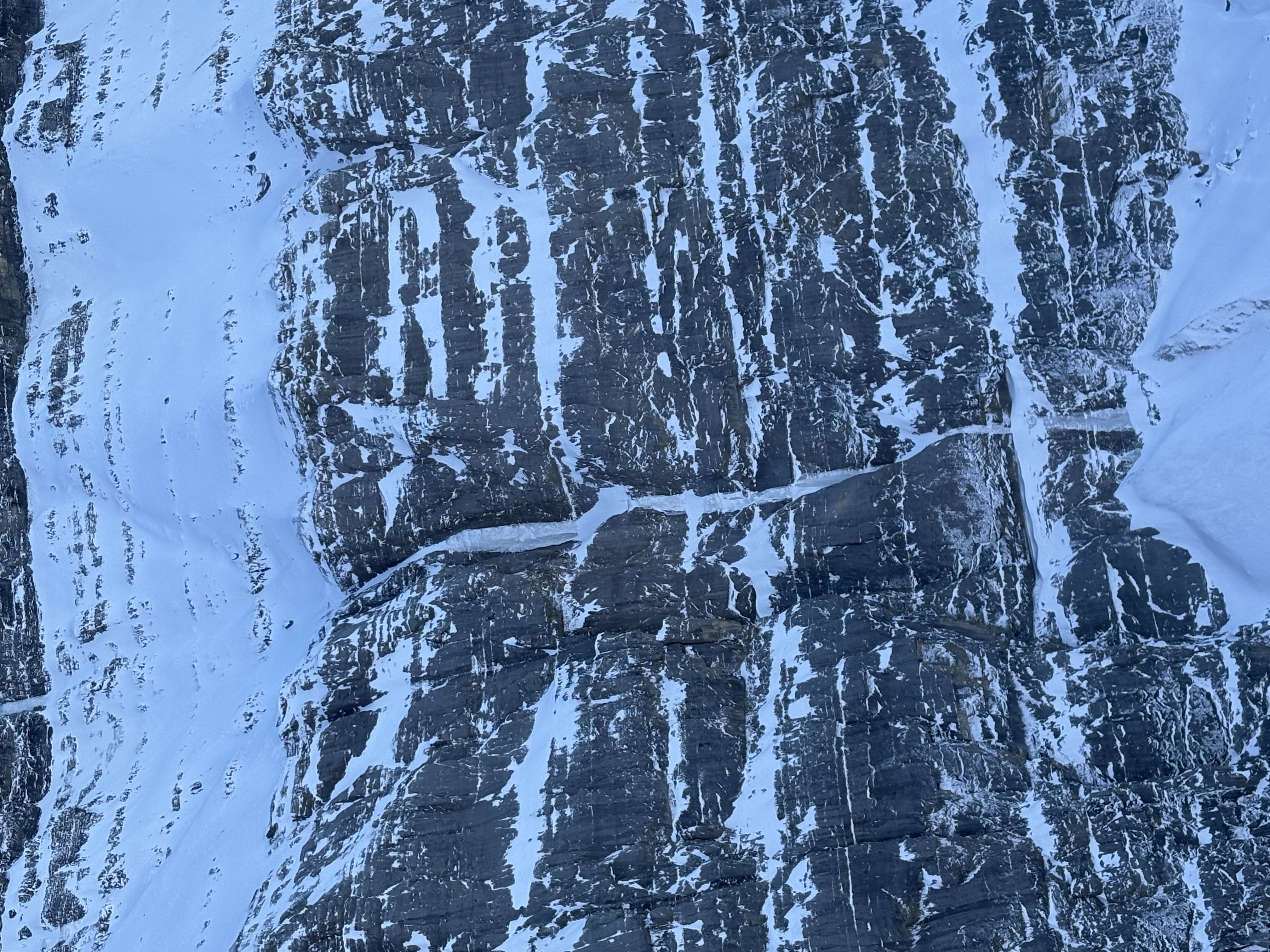 Observation photo