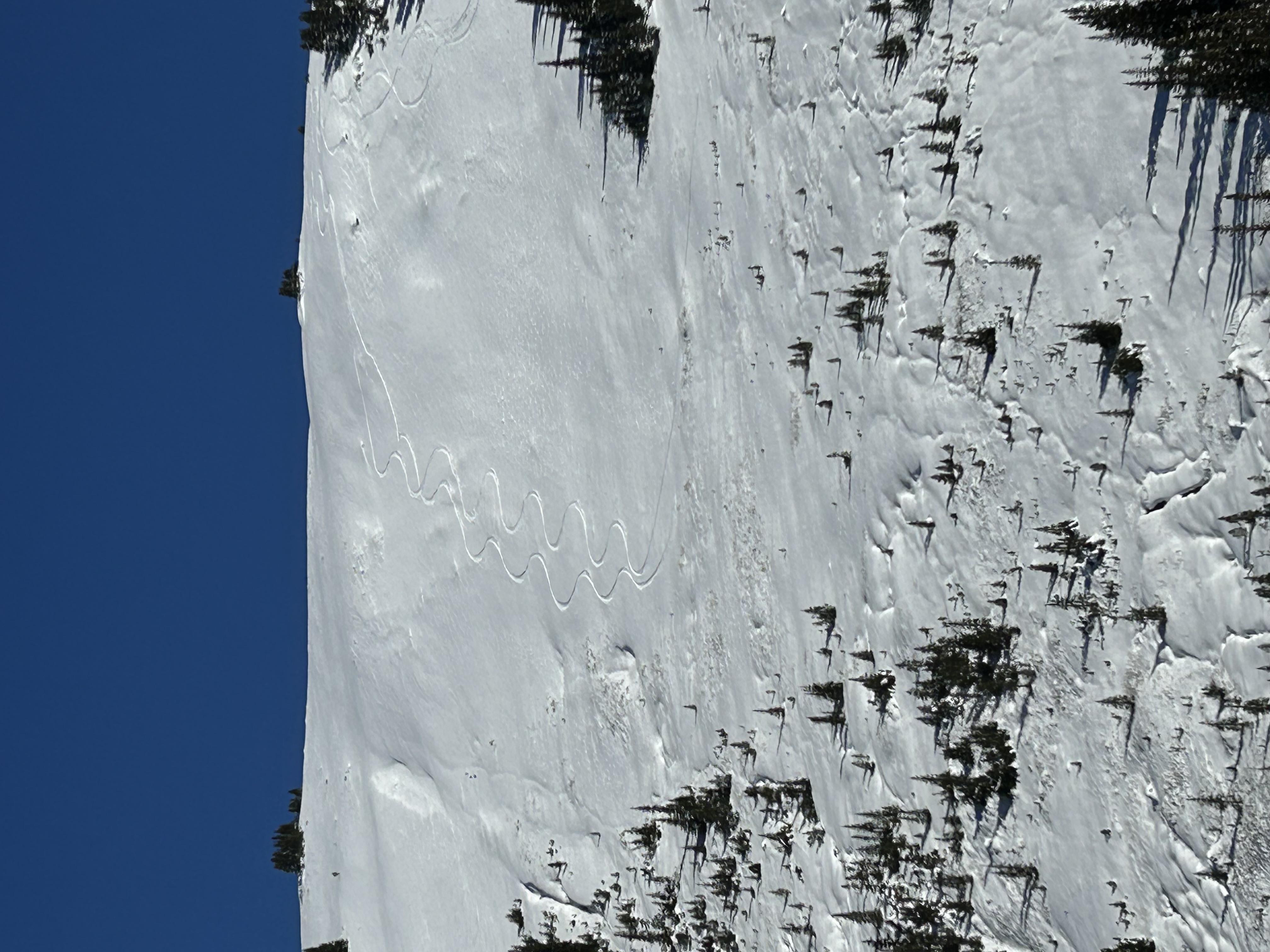 Observation photo