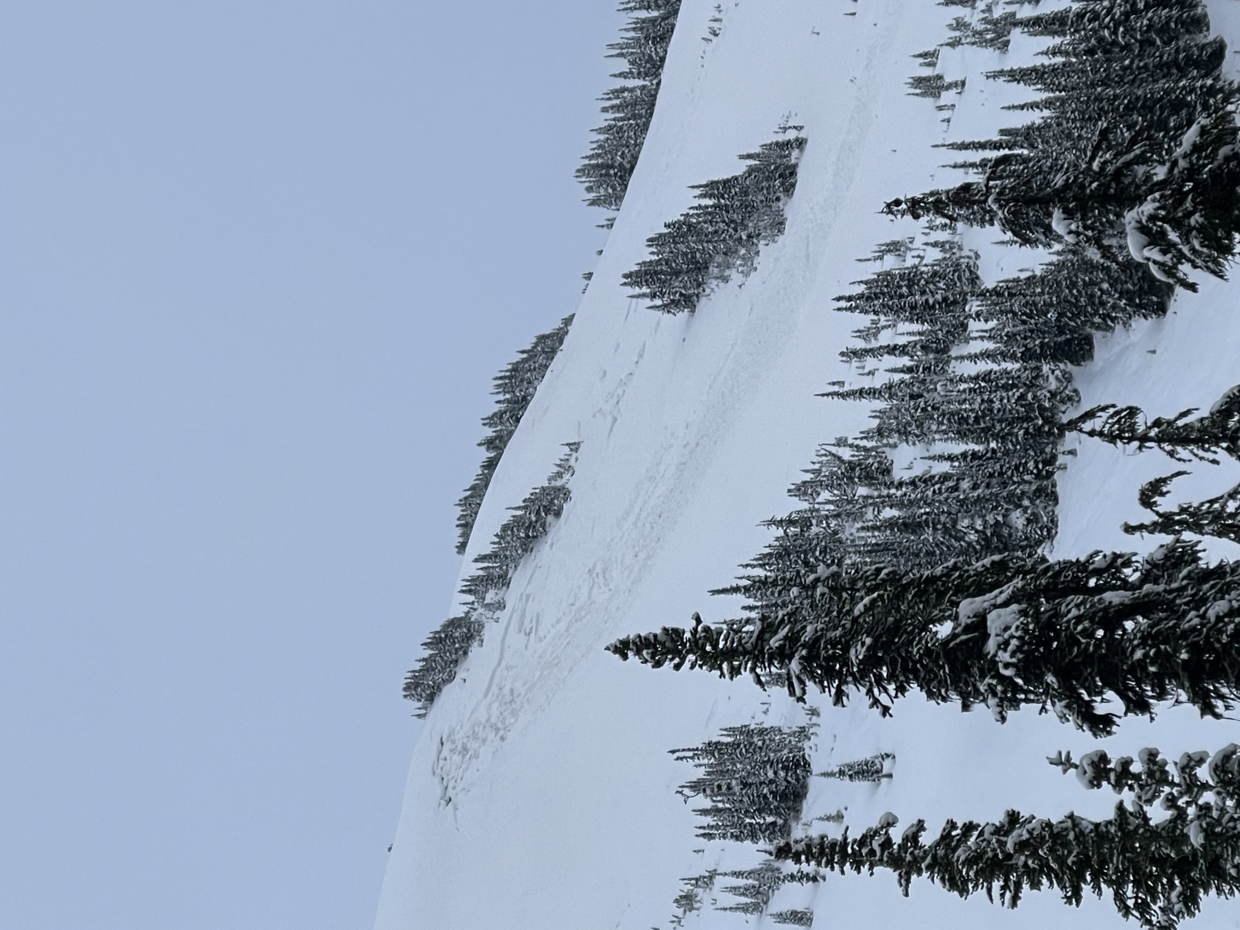 Observation photo