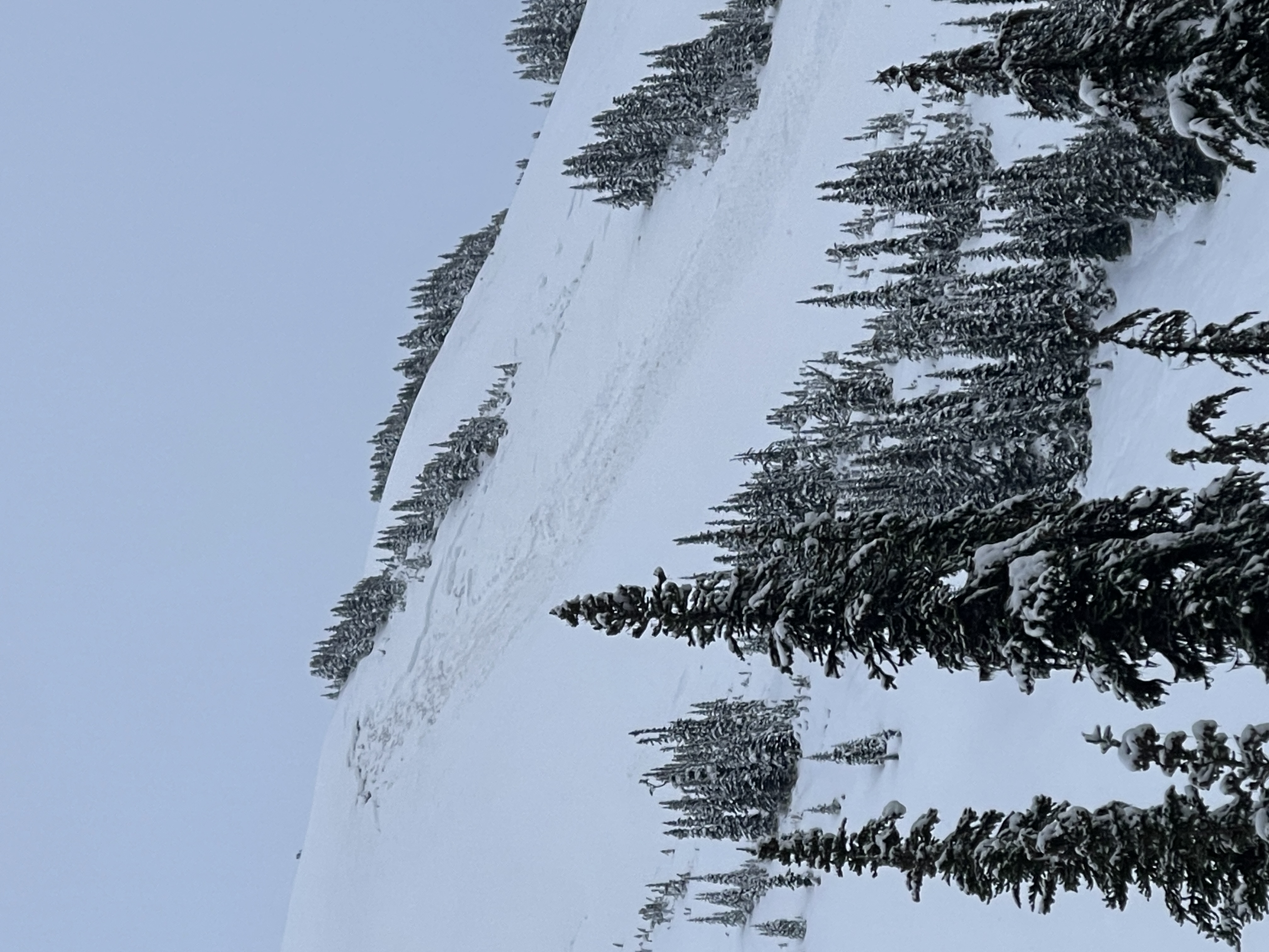 Observation photo