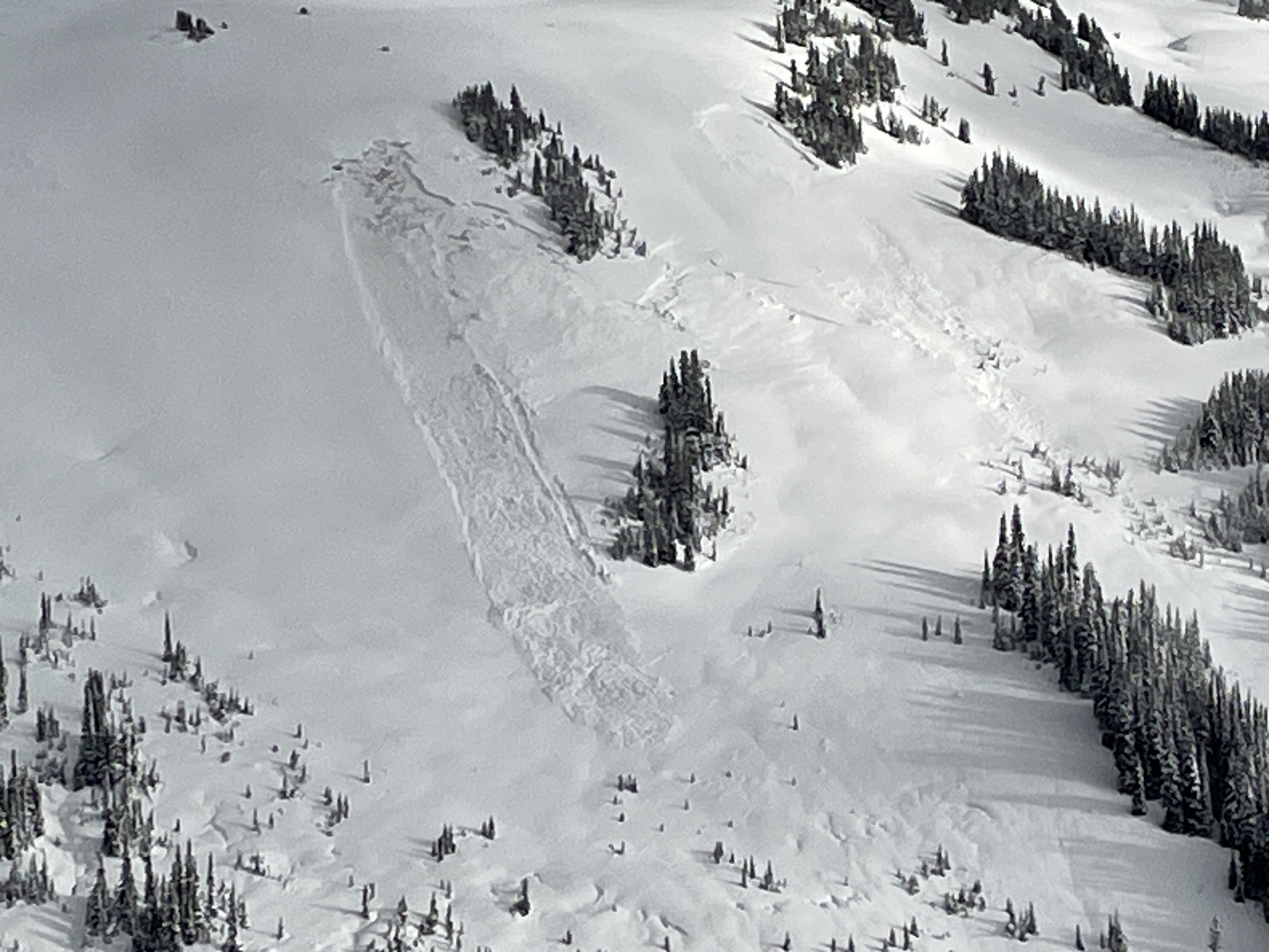 Observation photo