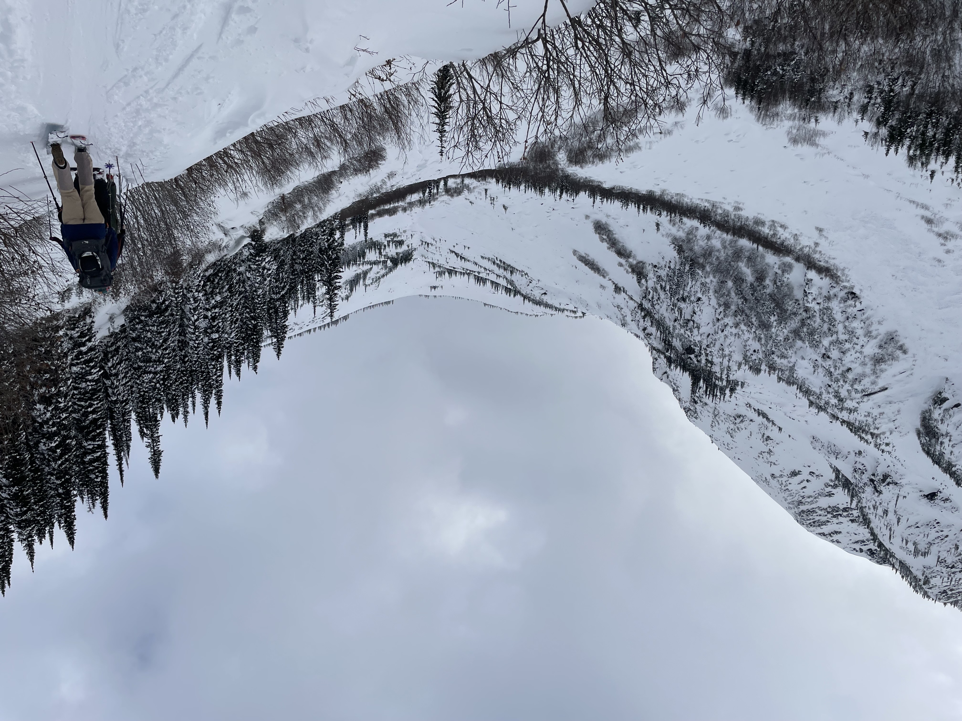 Observation photo
