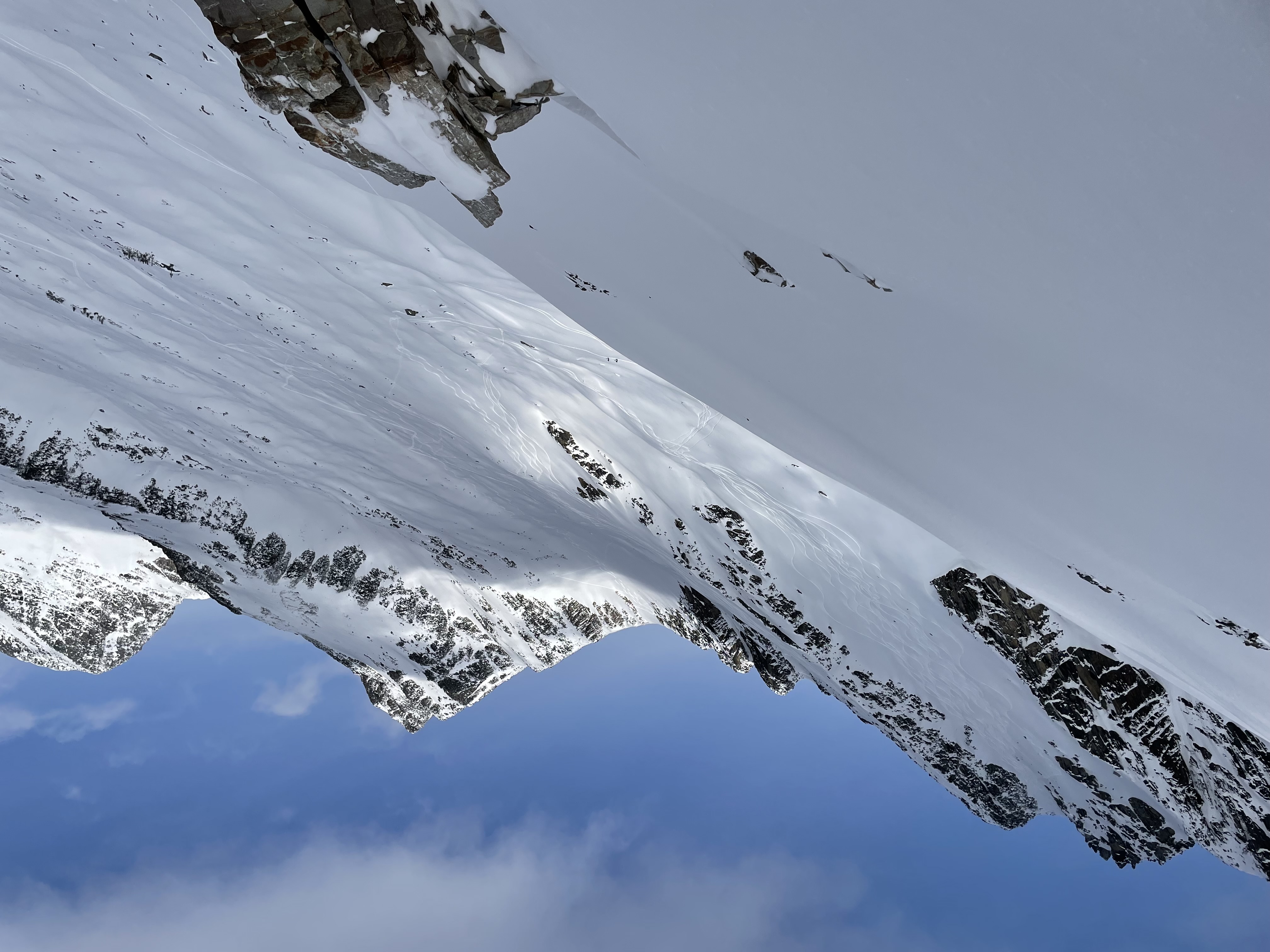Observation photo