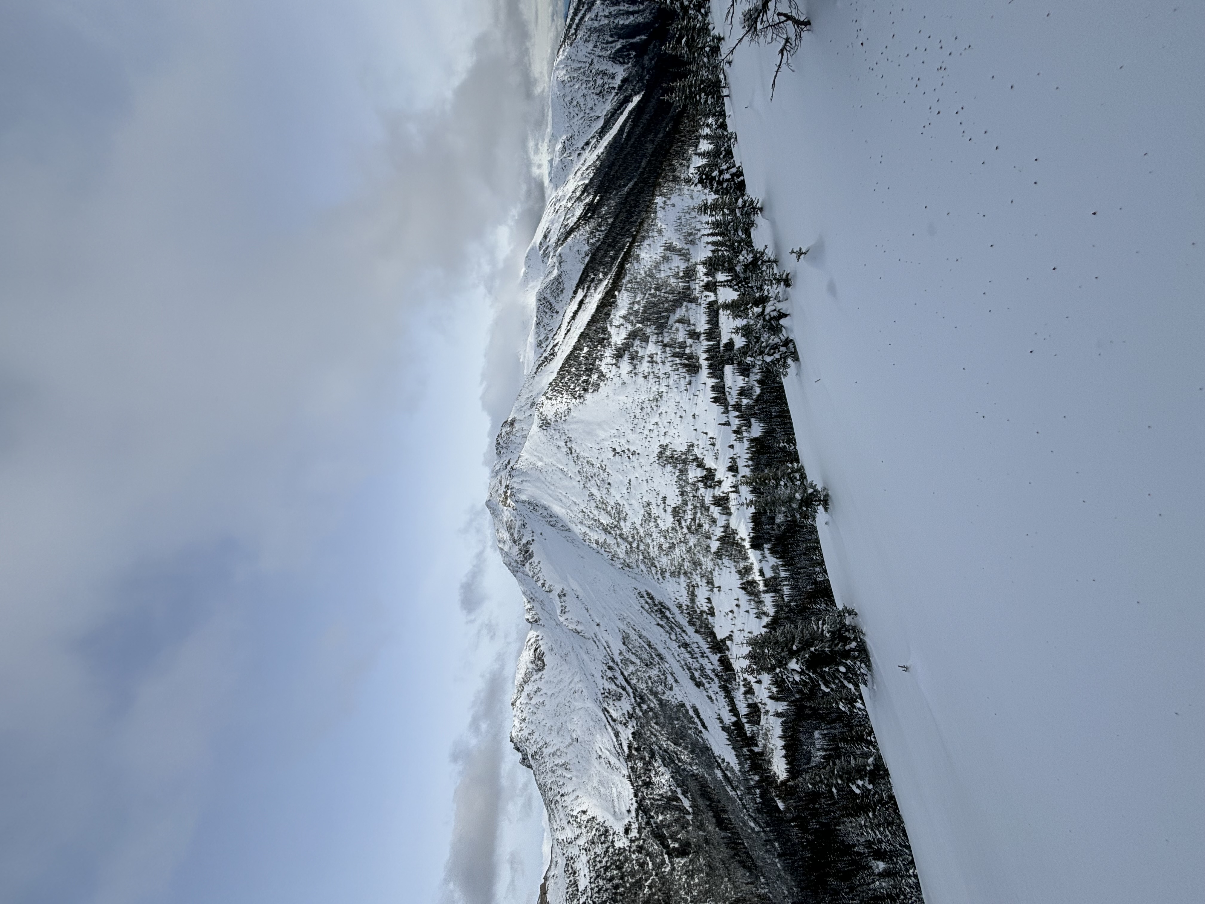 Observation photo