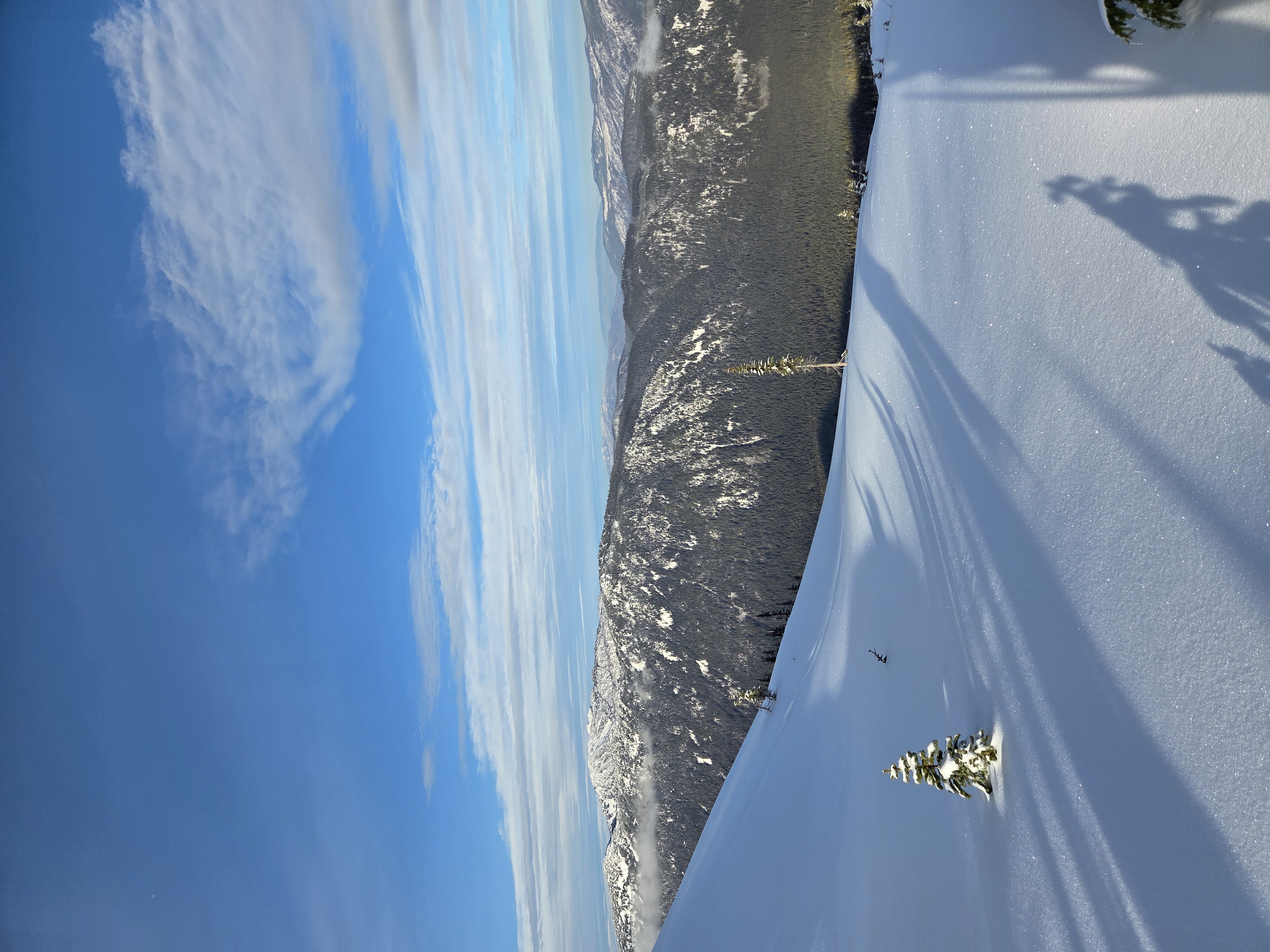 Observation photo