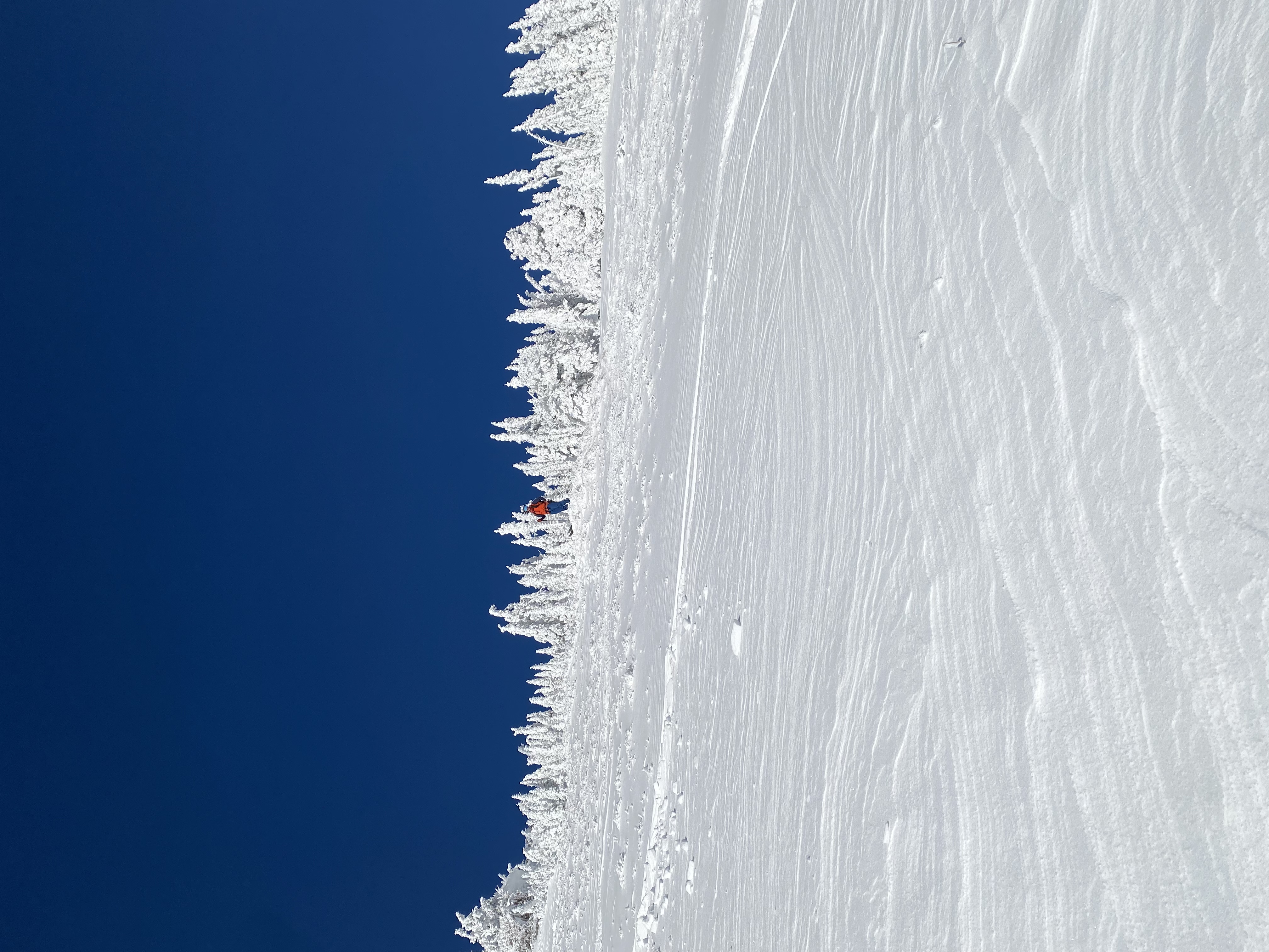 Observation photo