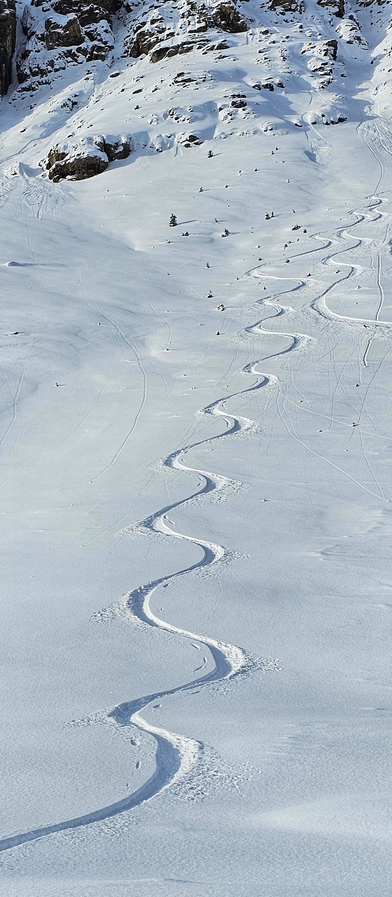 Observation photo