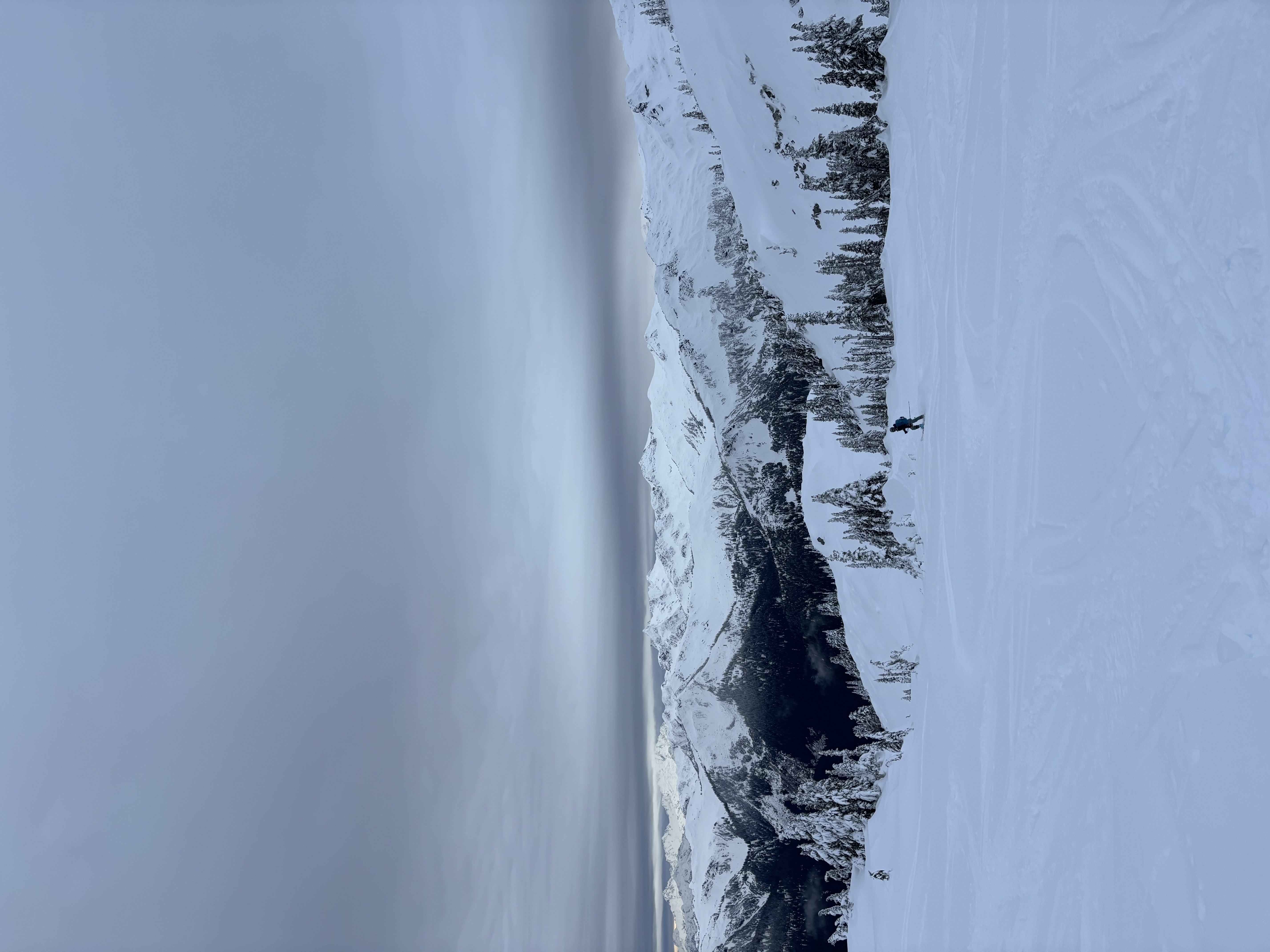 Observation photo