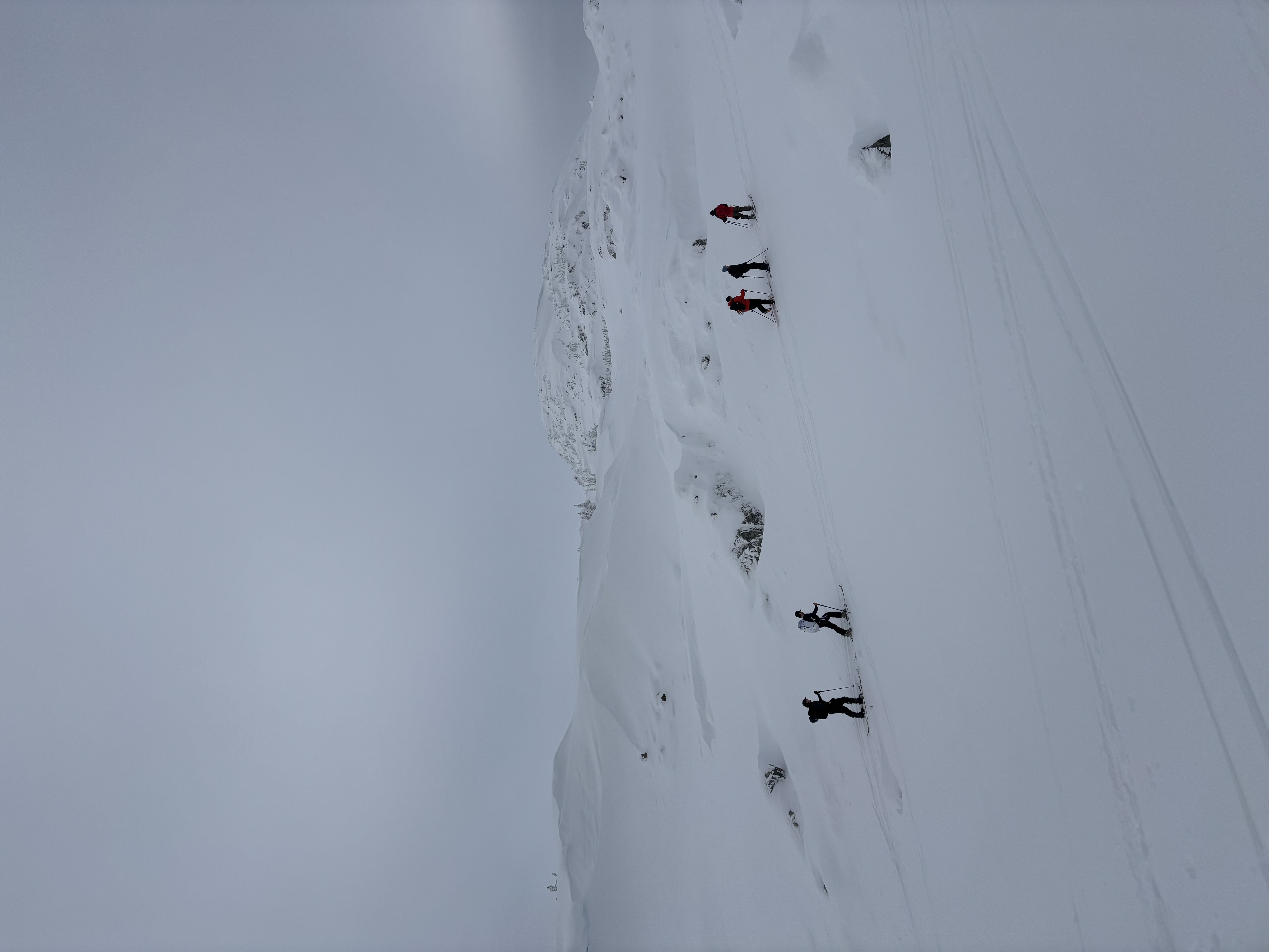 Observation photo