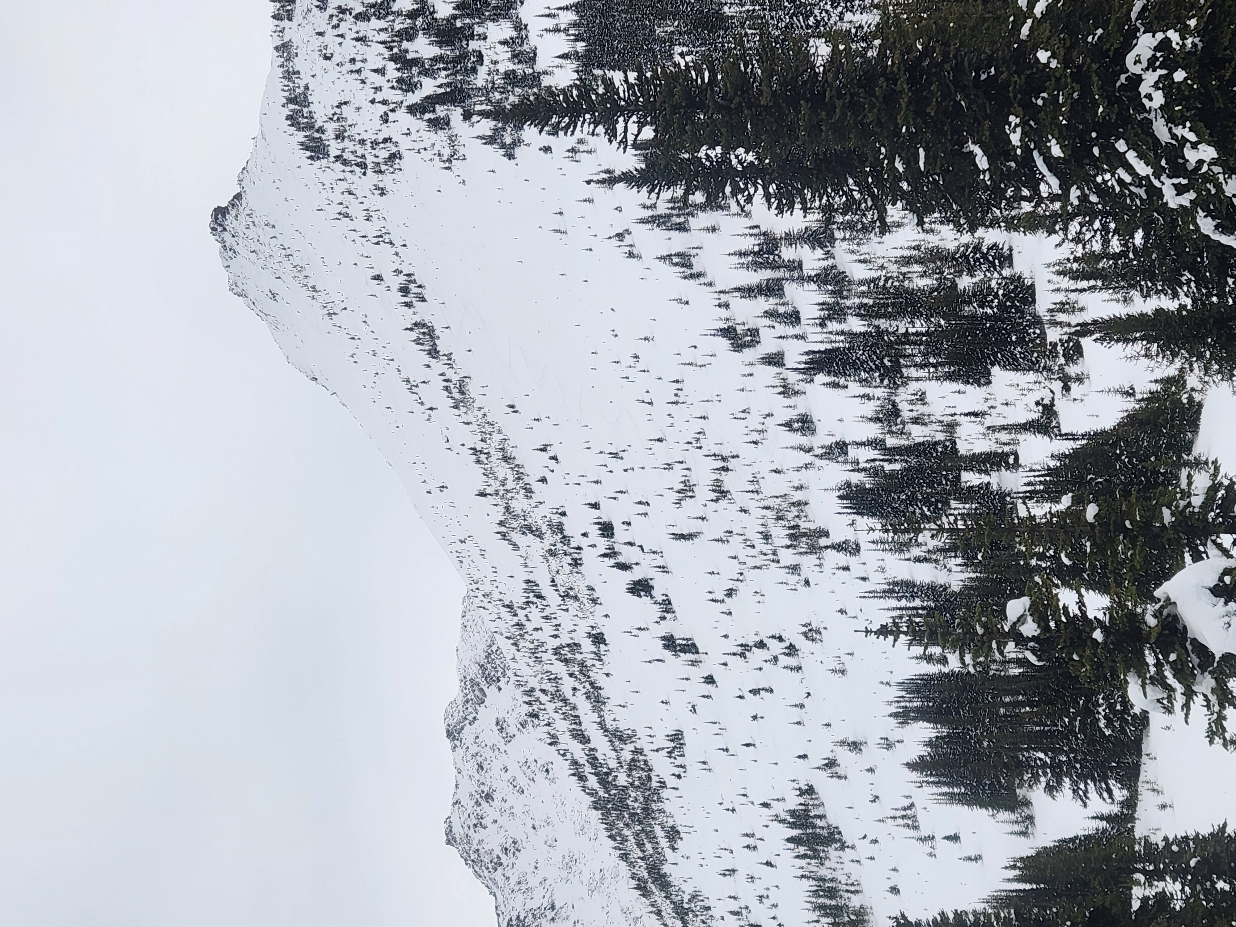Observation photo