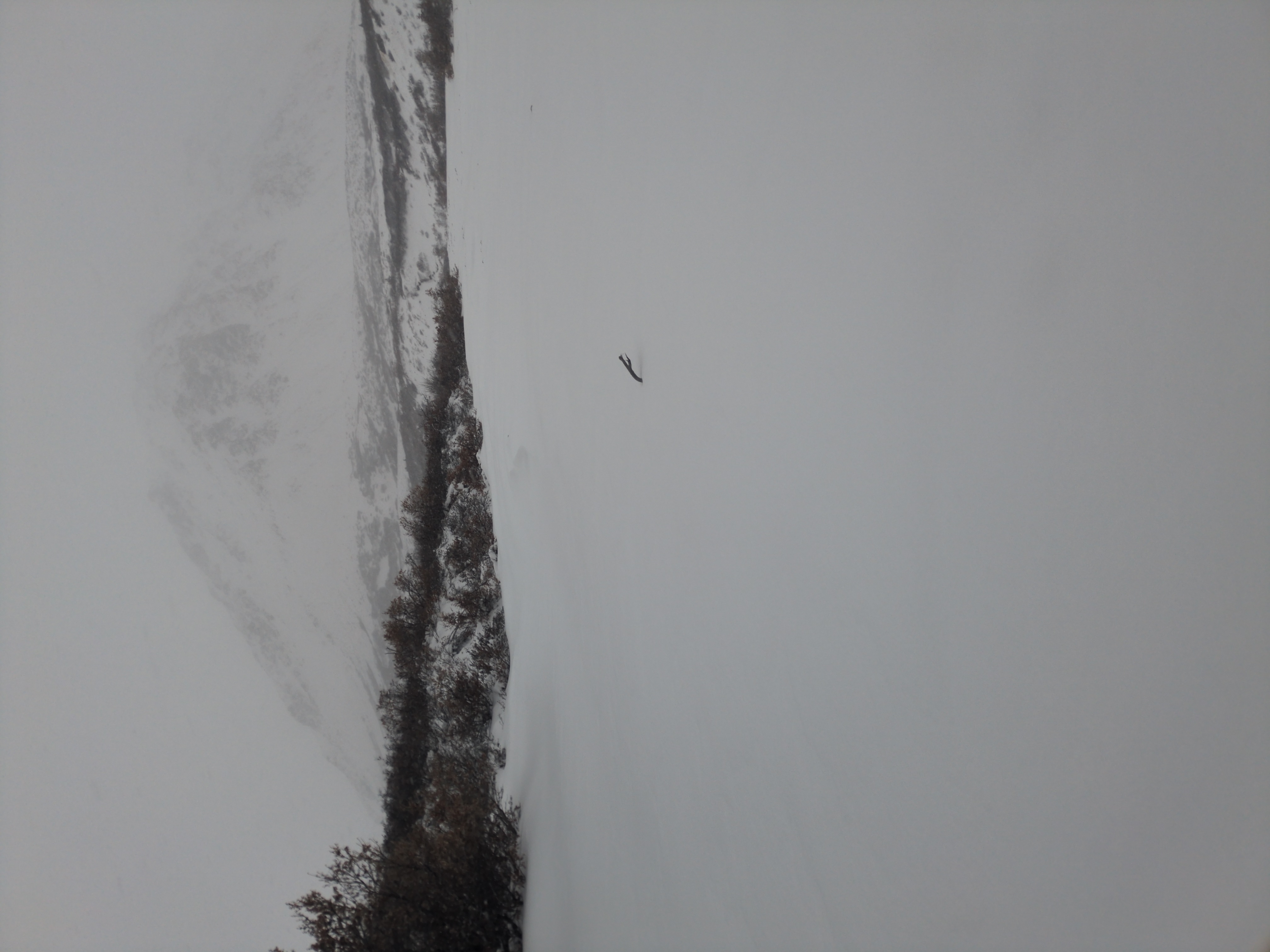Observation photo