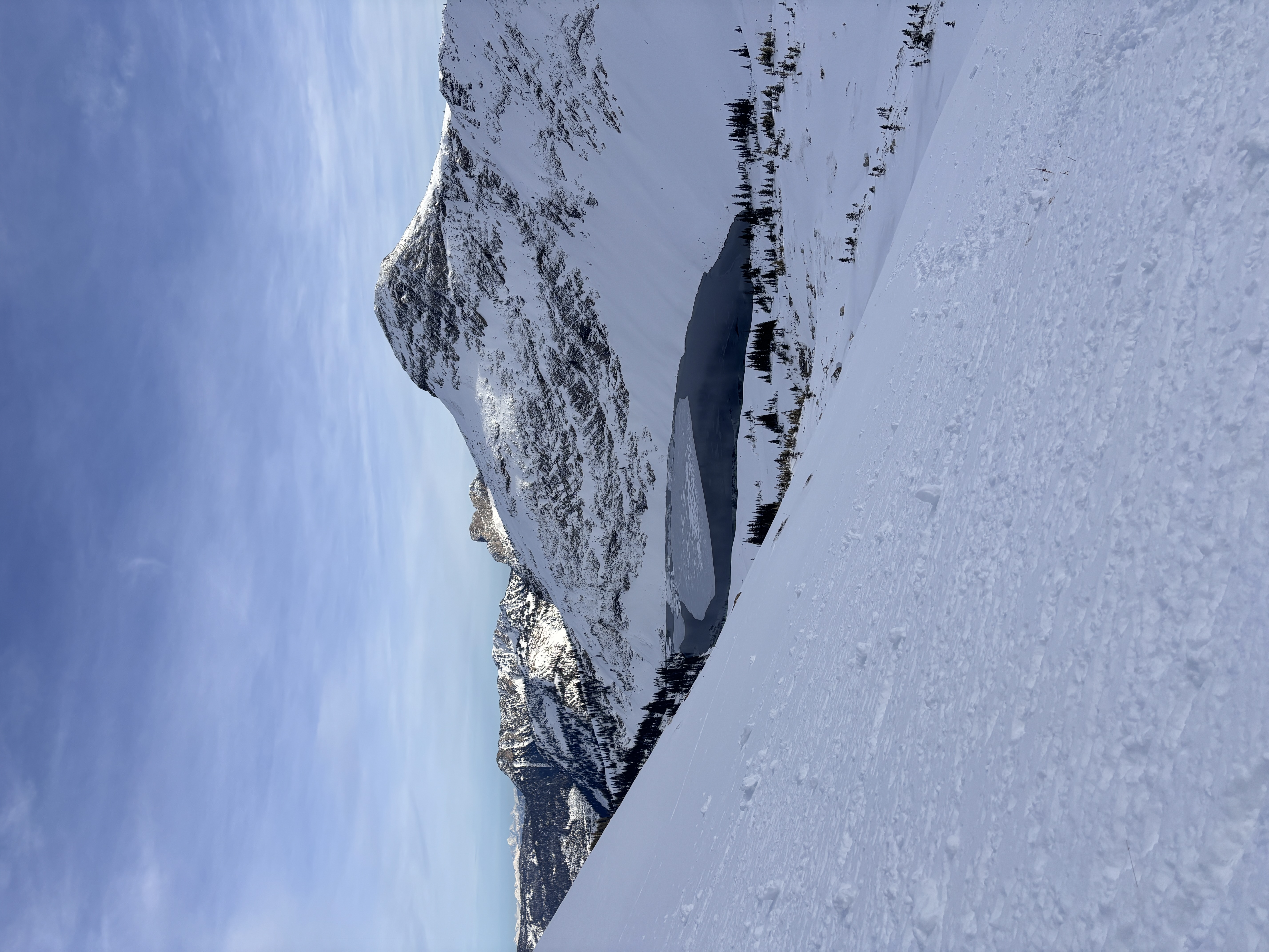 Observation photo