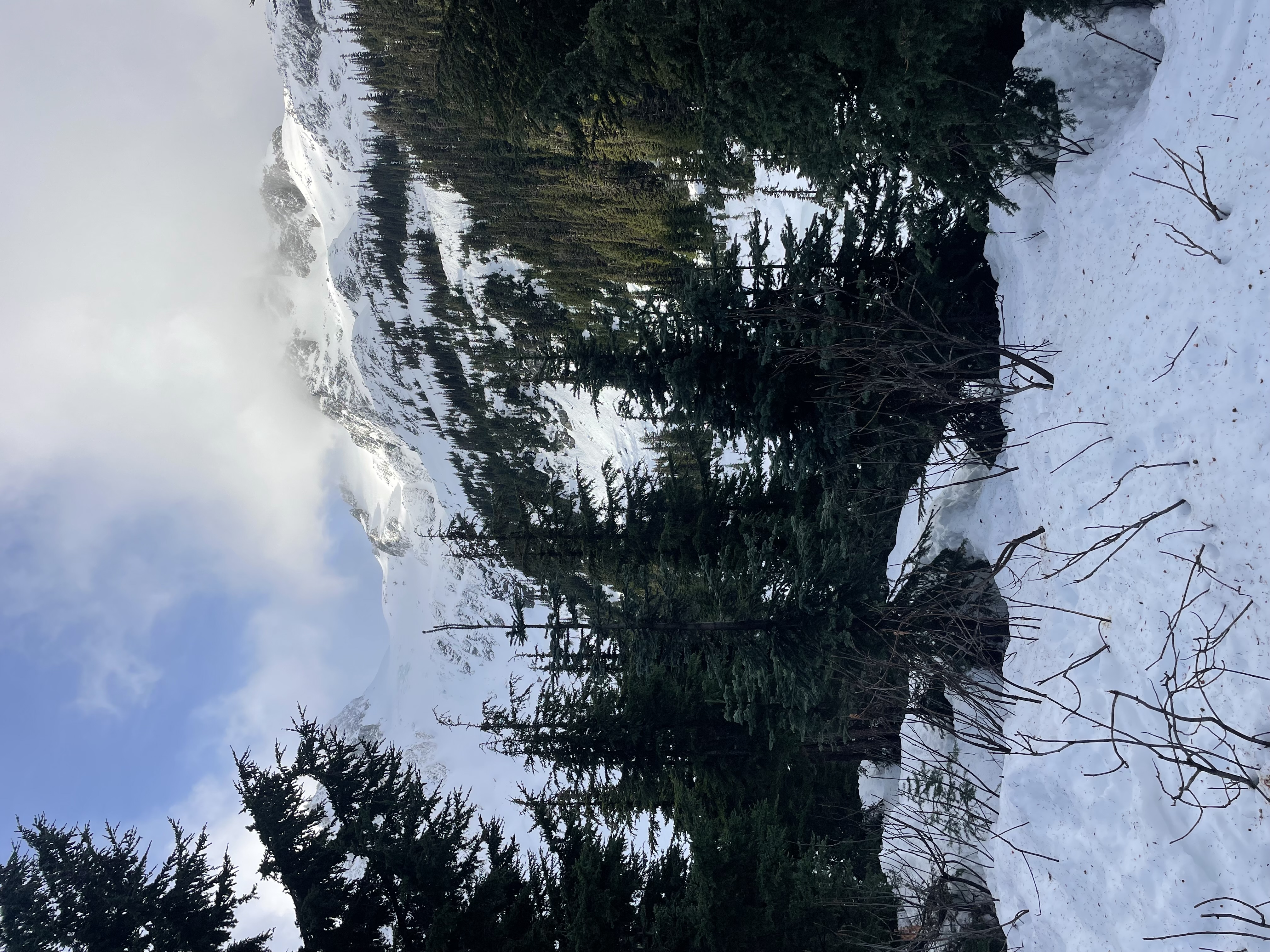 Observation photo