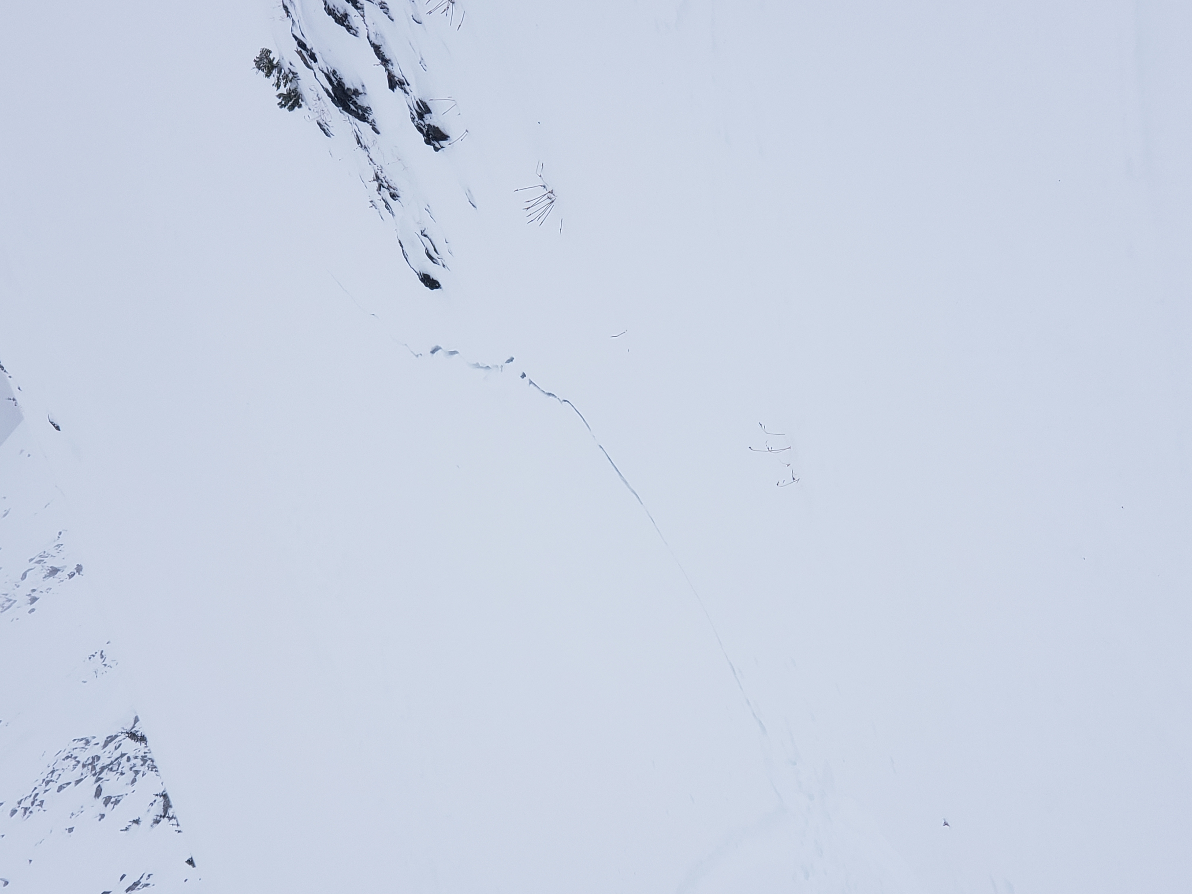 Observation photo