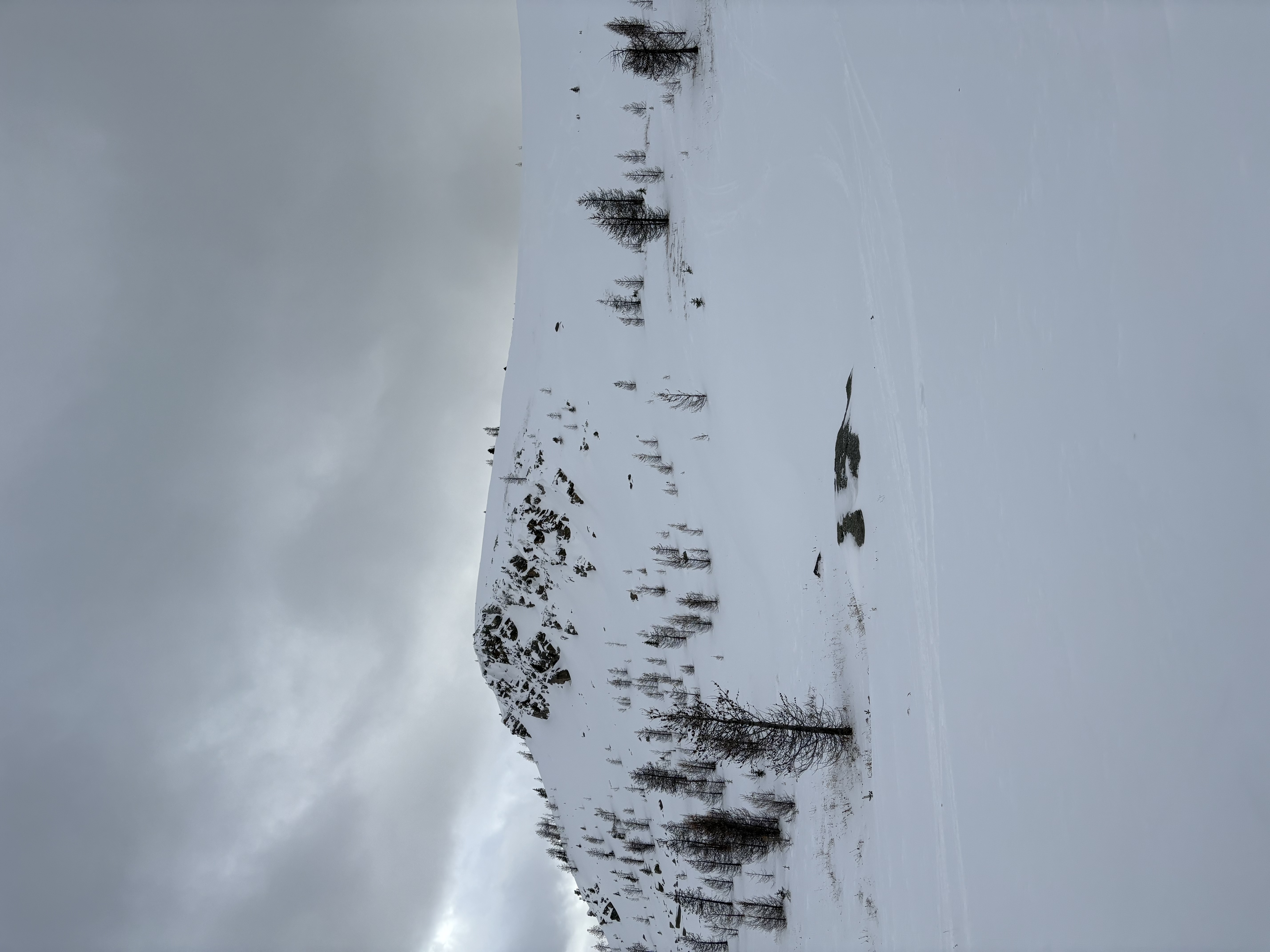 Observation photo