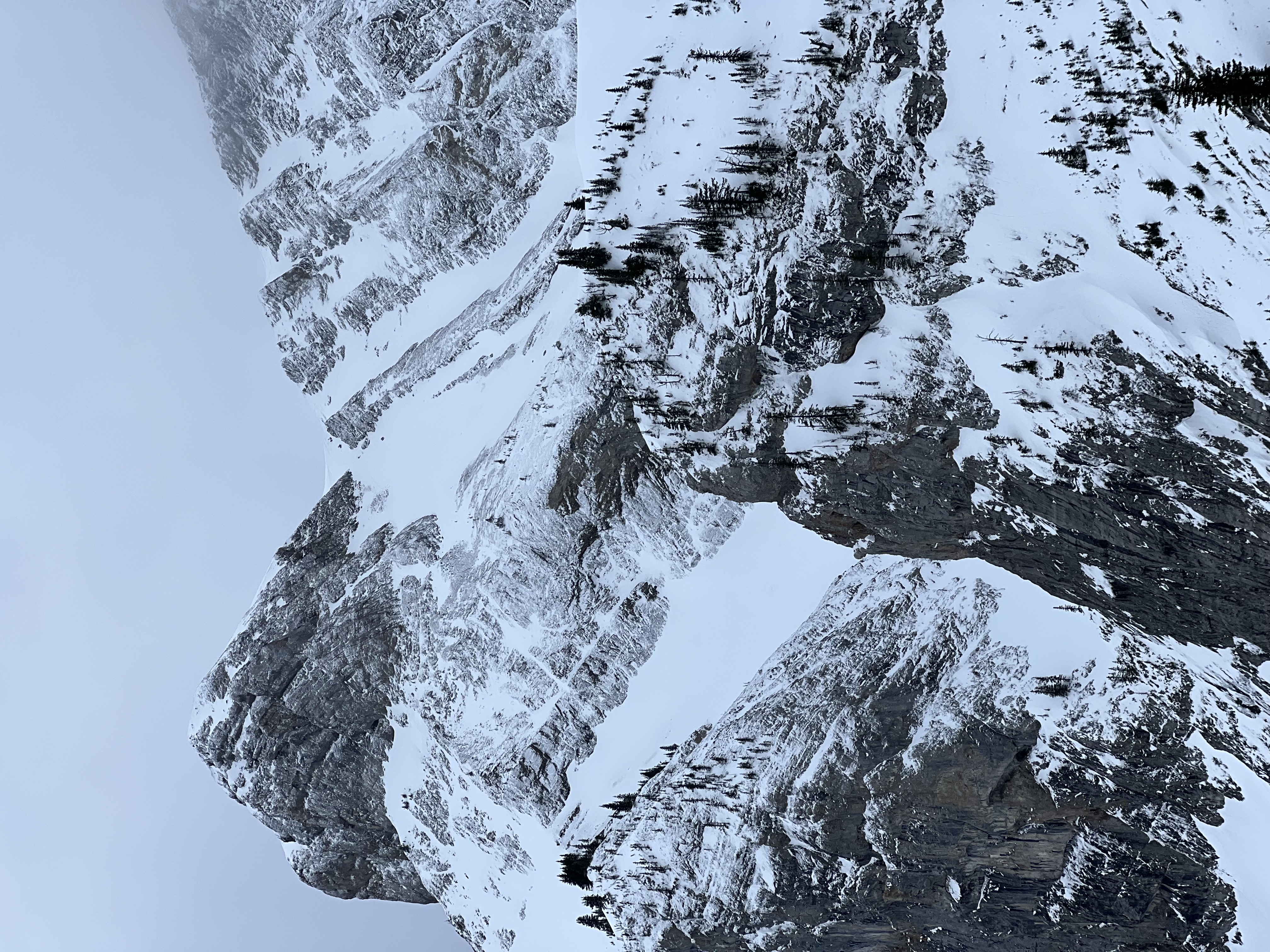 Observation photo