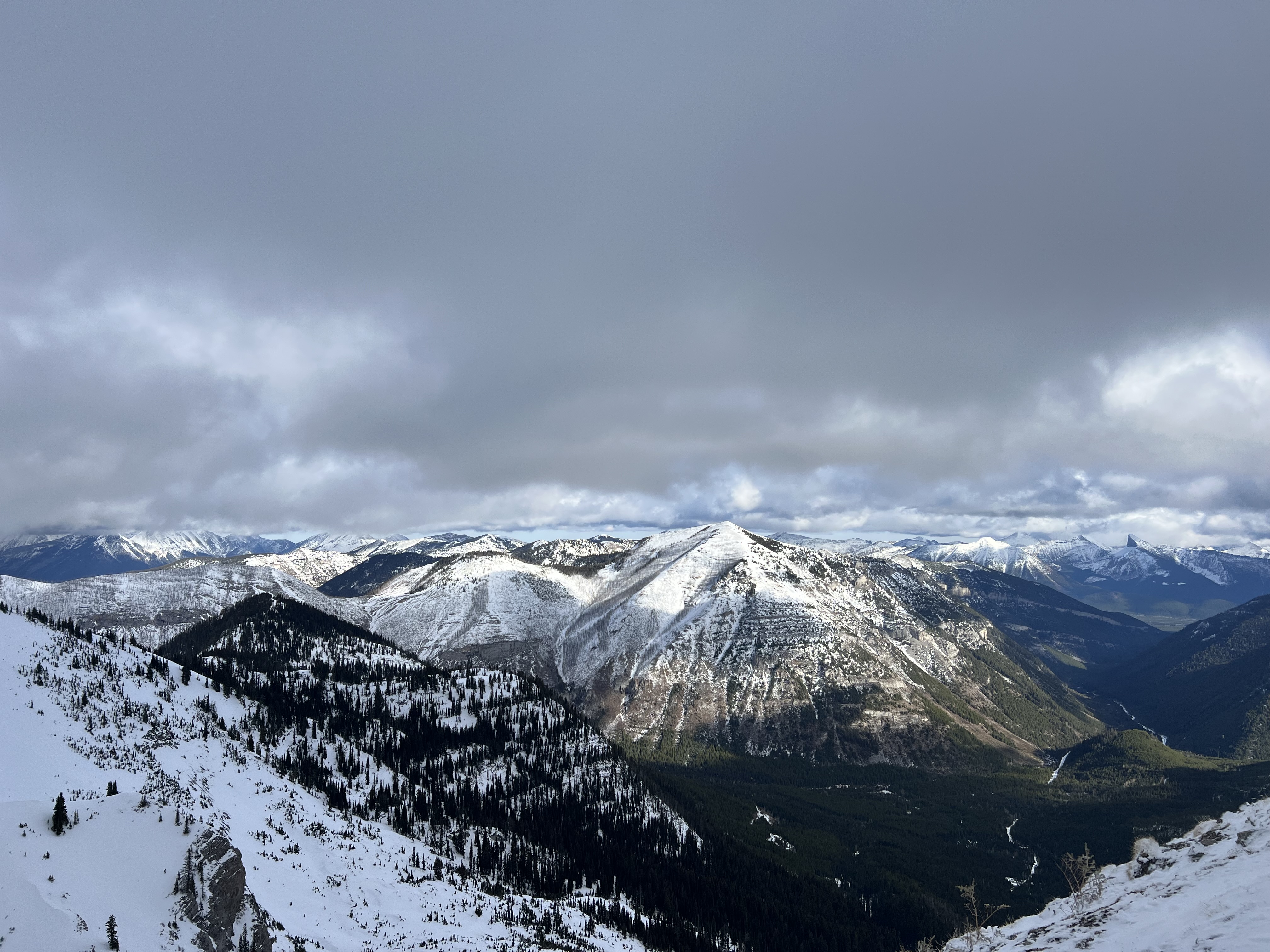 Observation photo