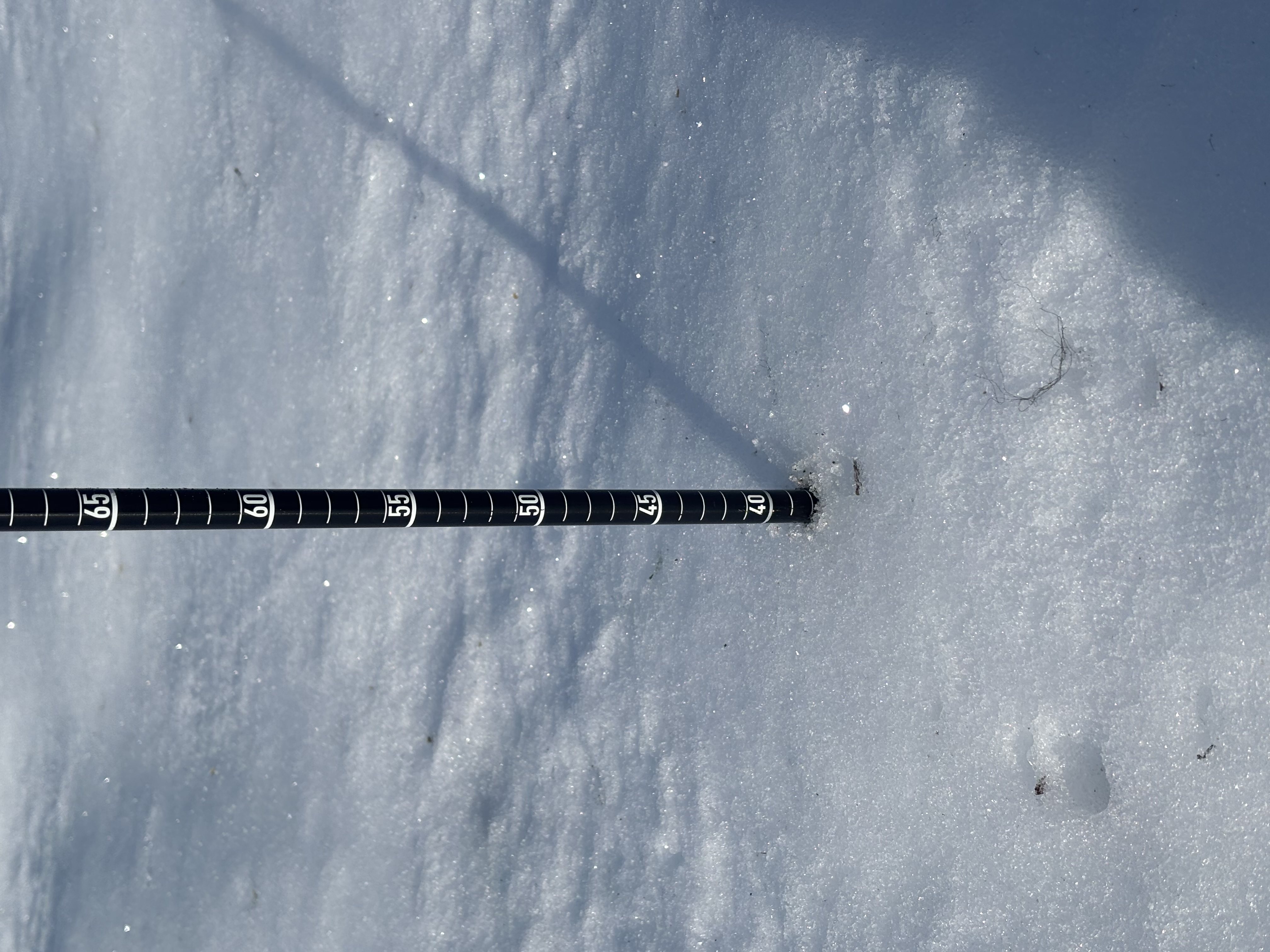 Observation photo