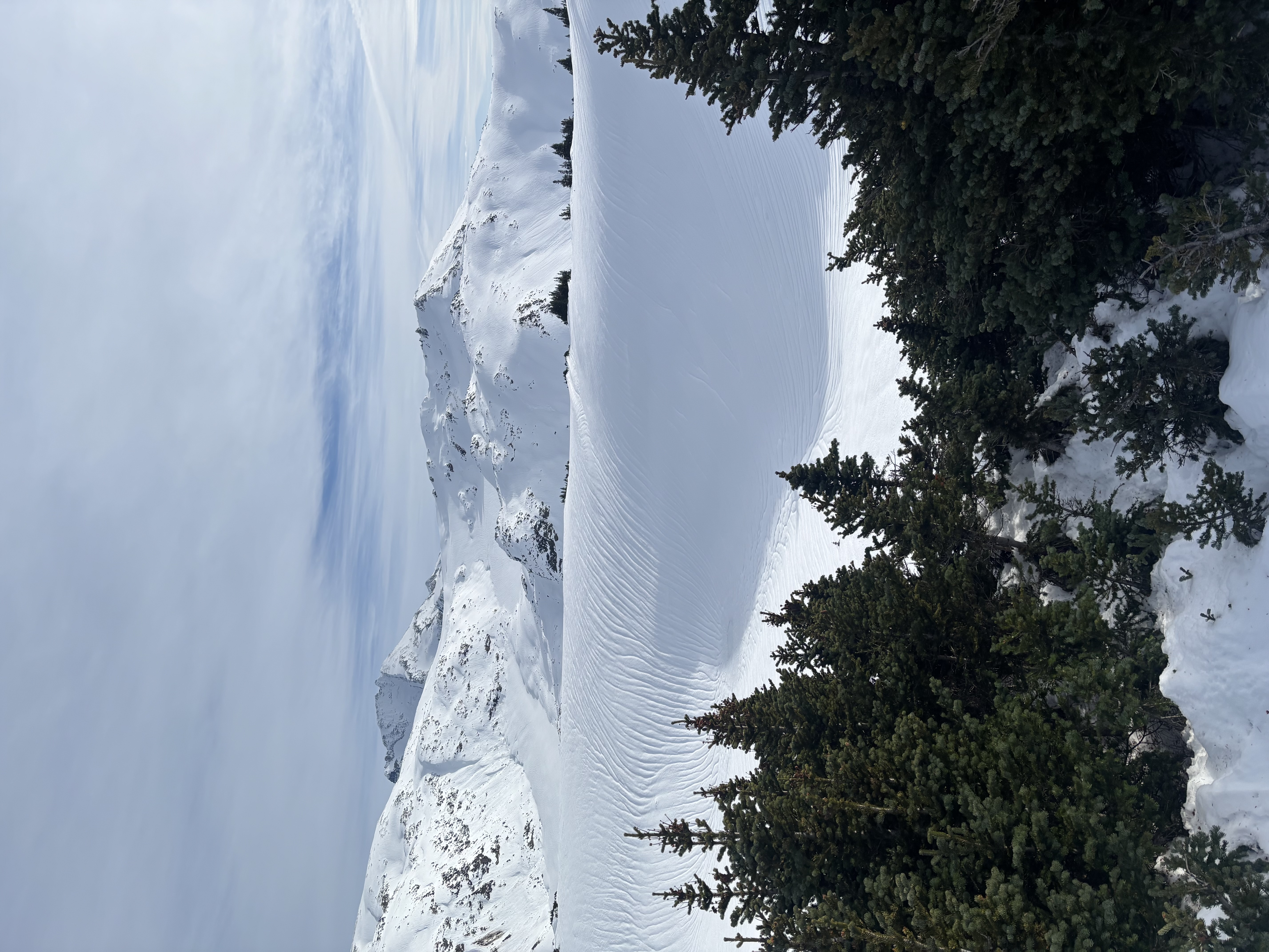 Observation photo