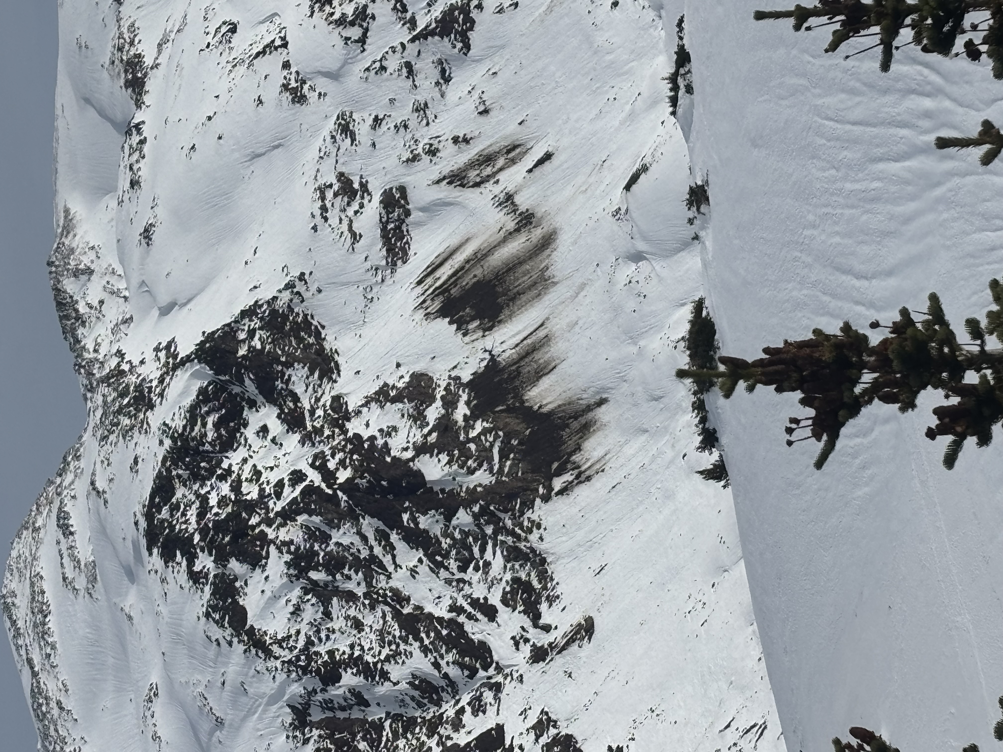 Observation photo