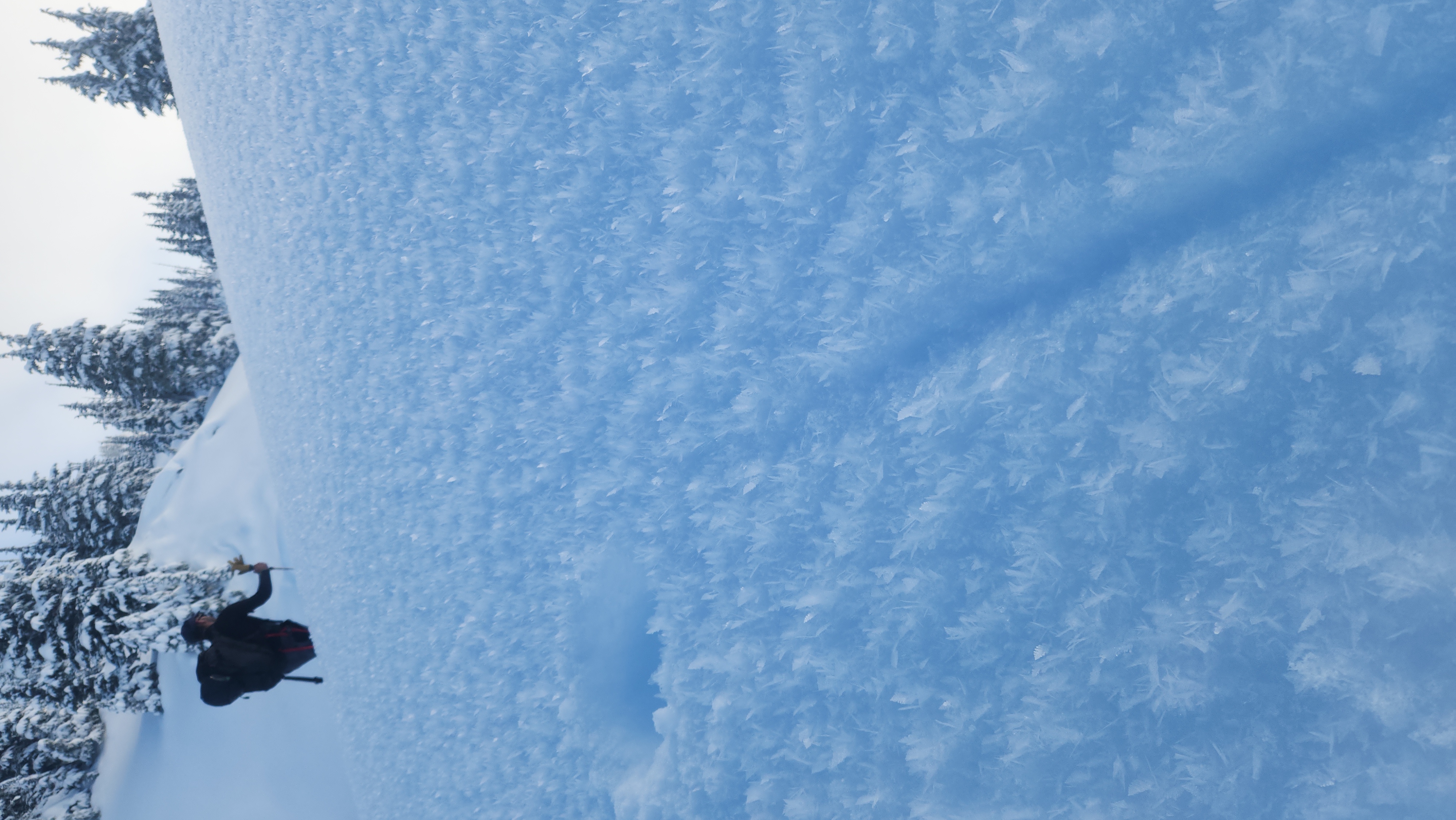 Observation photo