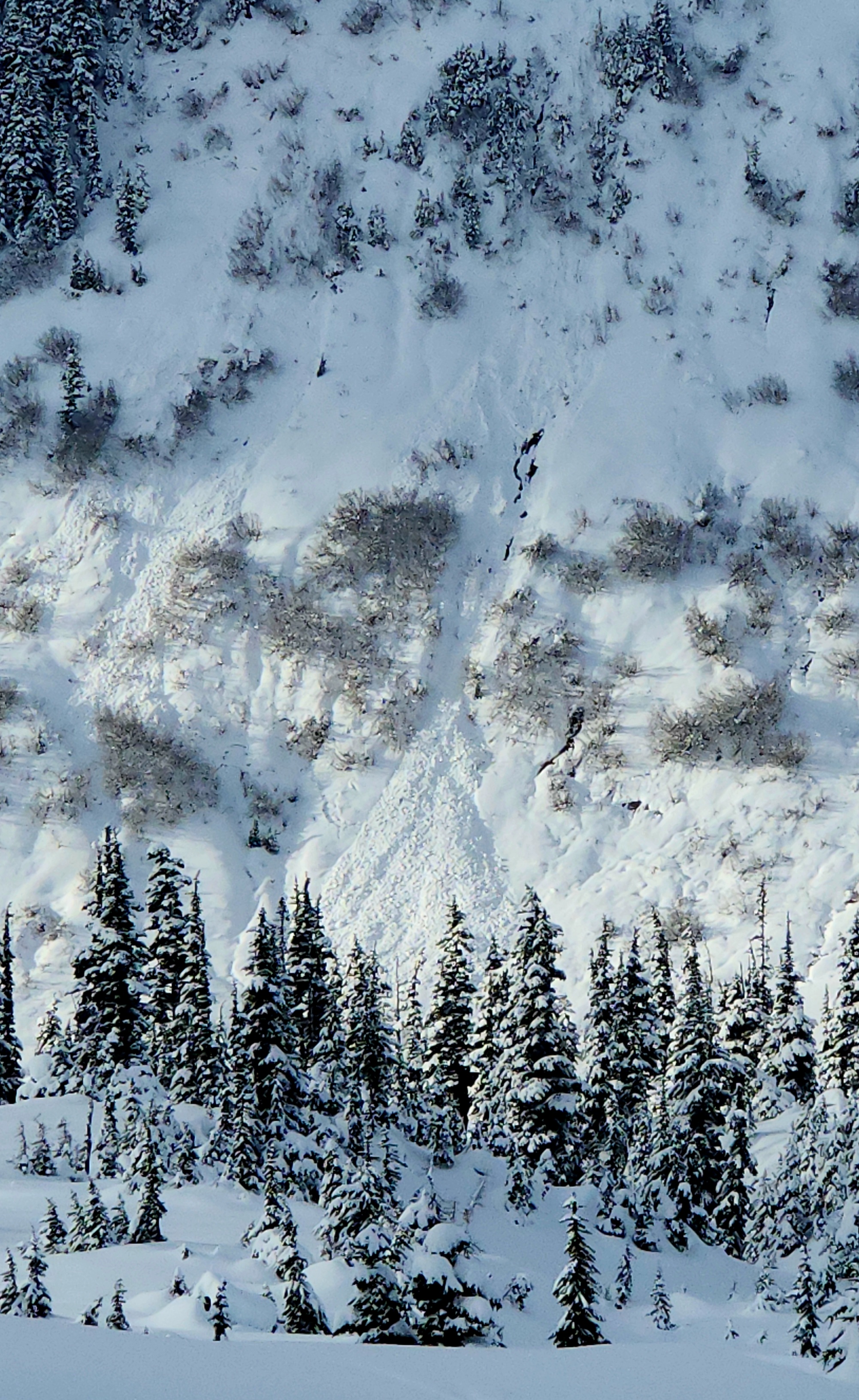 Observation photo