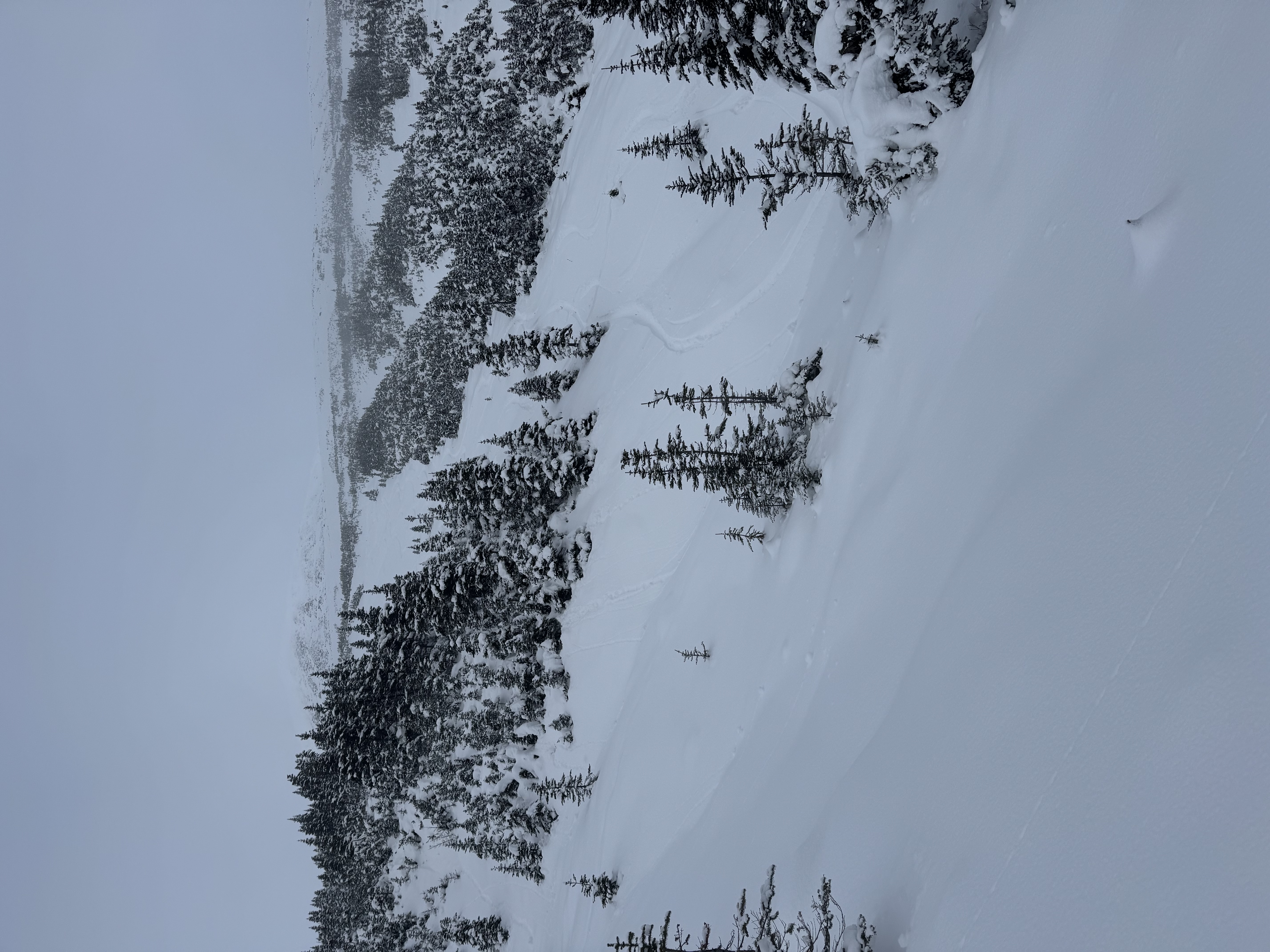 Observation photo